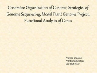 Genomics: Organization of Genome, Strategies of
Genome Sequencing, Model Plant Genome Project,
Functional Analysis of Genes
Promila Sheoran
PhD Biotechnology
GJU S&T Hisar
 
