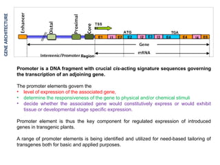 Advances in PMB promoter class .pptx