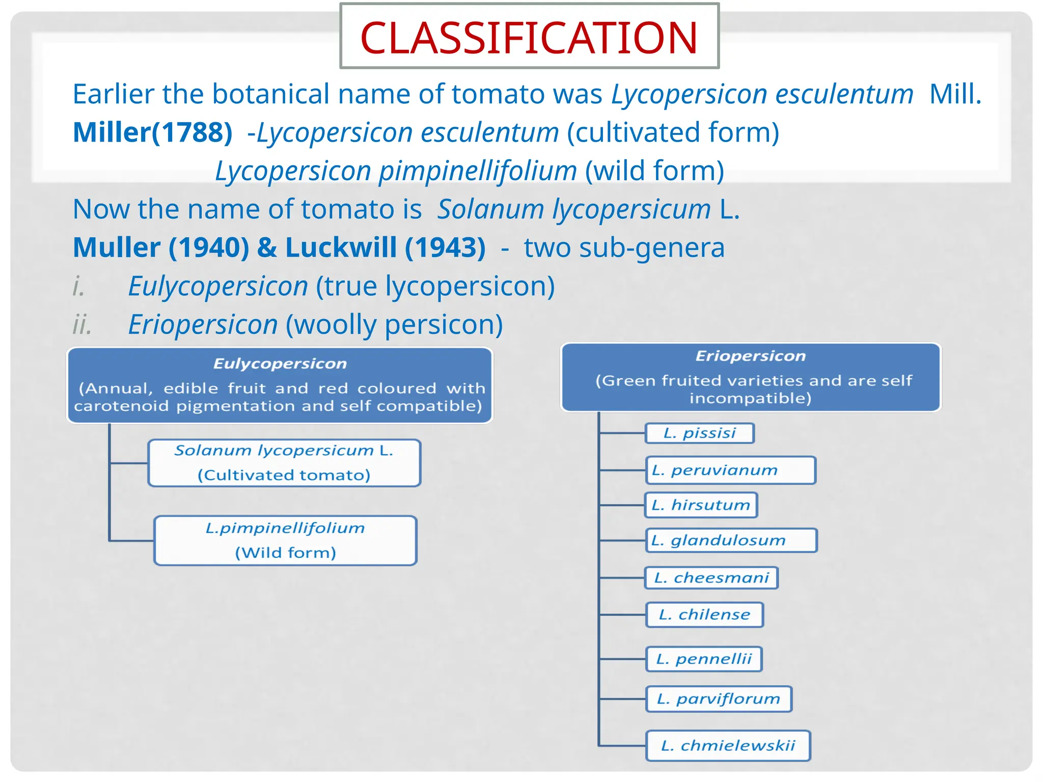 Tomato Classification Advances in production and breeding of tomato(Solanum lycopersicum L.).pptx