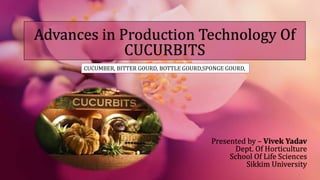 Advances in Production Technology Of
CUCURBITS
Presented by – Vivek Yadav
Dept. Of Horticulture
School Of Life Sciences
Sikkim University
CUCUMBER, BITTER GOURD, BOTTLE GOURD,SPONGE GOURD,
 