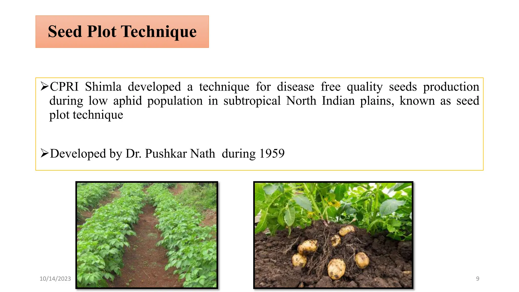 ADVANCES IN PROPAGATION OF POTATO.pptx