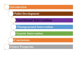 Introduction
Pullet Development
Nutritional Intervention
Managemental Intervention
Genetic Intervention
Conclusions
Future Prospectus
 