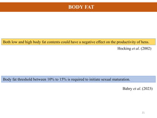 BODY FAT
Both low and high body fat contents could have a negative effect on the productivity of hens.
21
Hocking et al. (2002)
Body fat threshold between 10% to 15% is required to initiate sexual maturation.
Bahry et al. (2023)
 