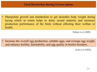 Feed Restriction during Grower phase.
• Manipulate growth and metabolism to get desirable body weight during
laying which in return helps to delay sexual maturity and increases
production performance of the birds without affecting their welfare or
health.
• Increase the overall egg production, settable eggs, and average egg weight,
and enhance fertility, hatchability, and egg quality in broiler breeders.
24
Tesfaye et al. (2009)
Avila et al. (2023)
 