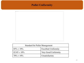 27
Pullet Uniformity
Standard for Pullet Management
85% ± 10% Excellent Uniformity
82-85 ± 10% Very Good Uniformity
70% ± 10% Unsatisfactory
 