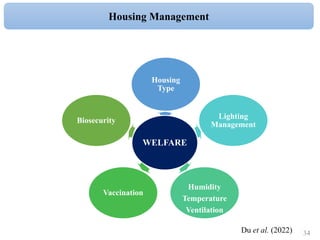 Housing Management
Du et al. (2022)
WELFARE
Housing
Type
Lighting
Management
Humidity
Temperature
Ventilation
Vaccination
Biosecurity
34
 