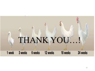37
THANK YOU…!
 