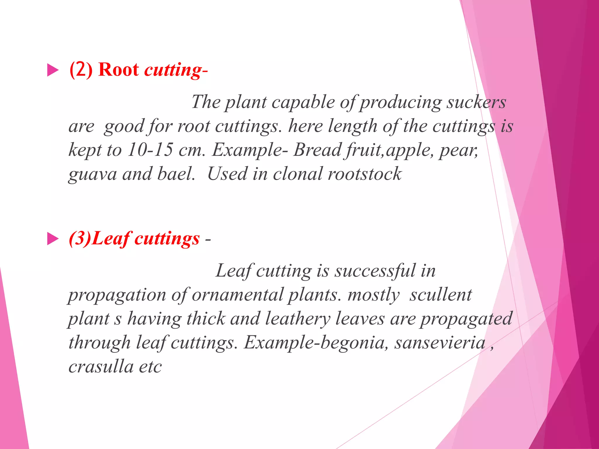  (2) Root cutting-
The plant capable of producing suckers
are good for root cuttings. here length of the cuttings is
kept to 10-15 cm. Example- Bread fruit,apple, pear,
guava and bael. Used in clonal rootstock
 (3)Leaf cuttings -
Leaf cutting is successful in
propagation of ornamental plants. mostly scullent
plant s having thick and leathery leaves are propagated
through leaf cuttings. Example-begonia, sansevieria ,
crasulla etc
 