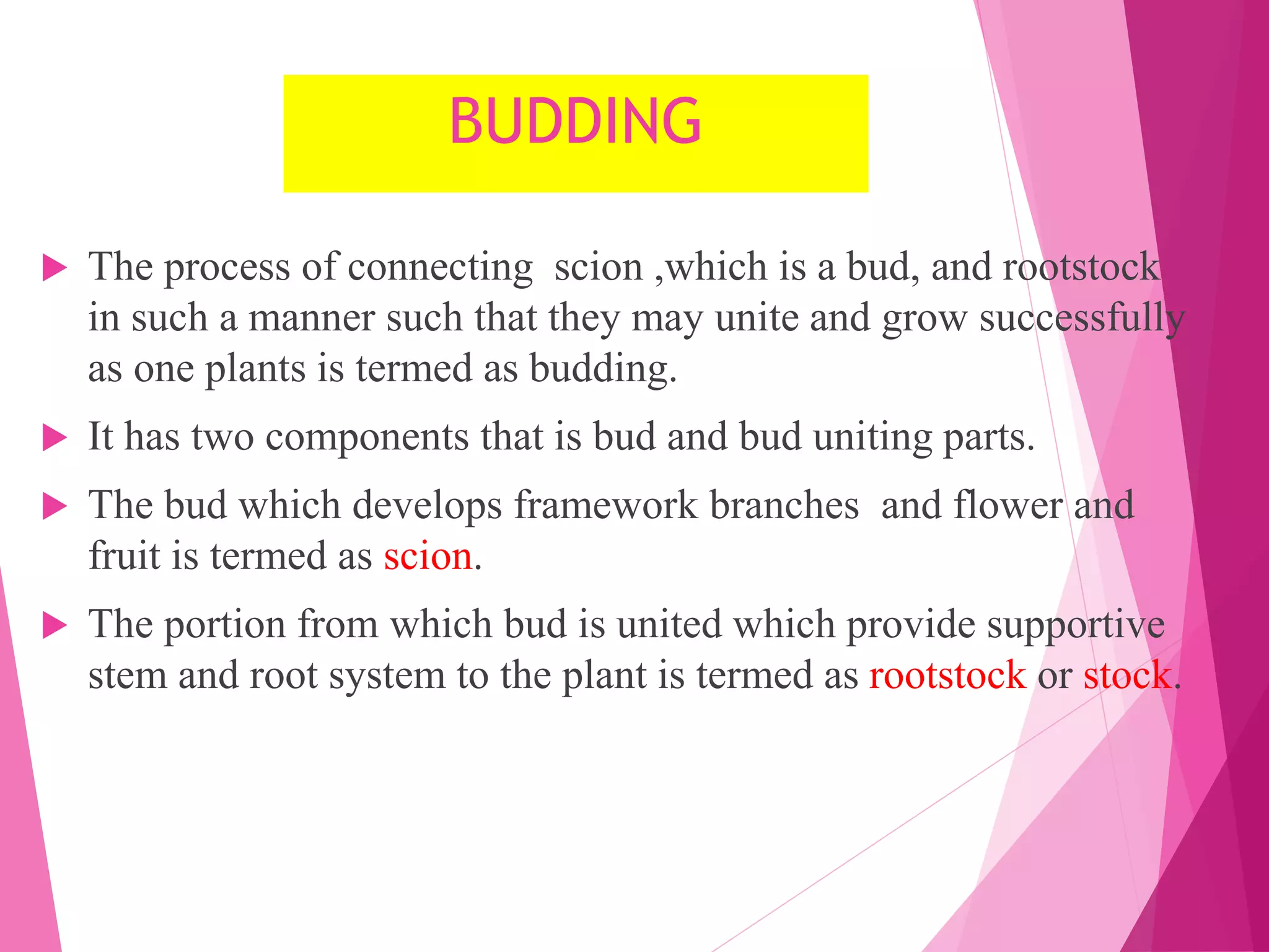  The process of connecting scion ,which is a bud, and rootstock
in such a manner such that they may unite and grow successfully
as one plants is termed as budding.
 It has two components that is bud and bud uniting parts.
 The bud which develops framework branches and flower and
fruit is termed as scion.
 The portion from which bud is united which provide supportive
stem and root system to the plant is termed as rootstock or stock.
BUDDING
 