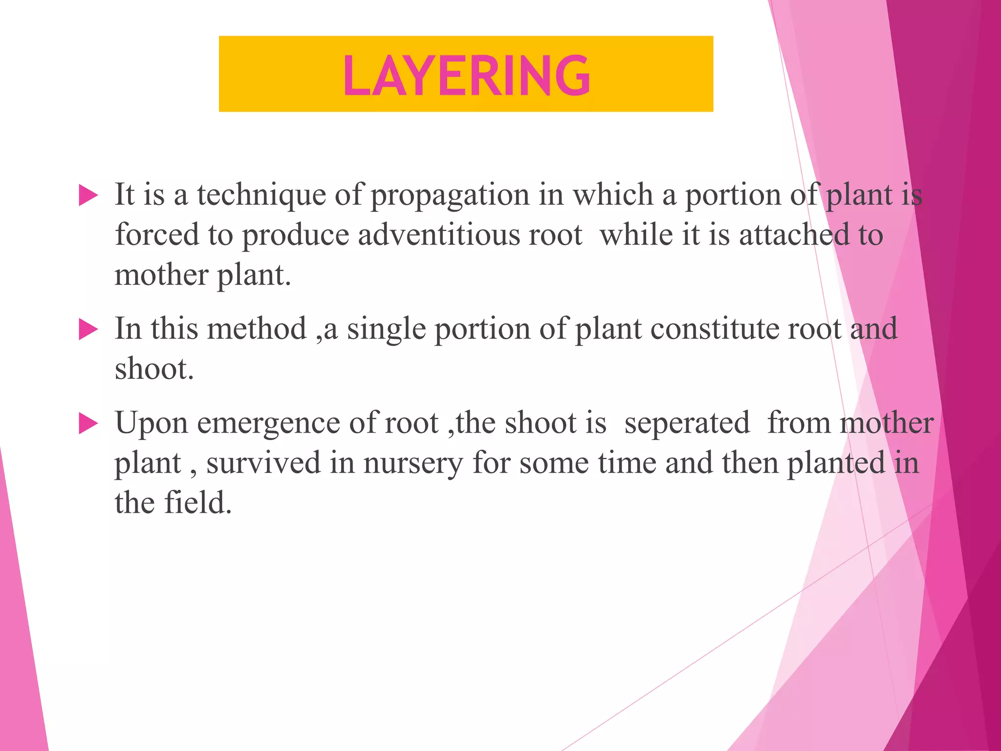 LAYERING
 It is a technique of propagation in which a portion of plant is
forced to produce adventitious root while it is attached to
mother plant.
 In this method ,a single portion of plant constitute root and
shoot.
 Upon emergence of root ,the shoot is seperated from mother
plant , survived in nursery for some time and then planted in
the field.
 