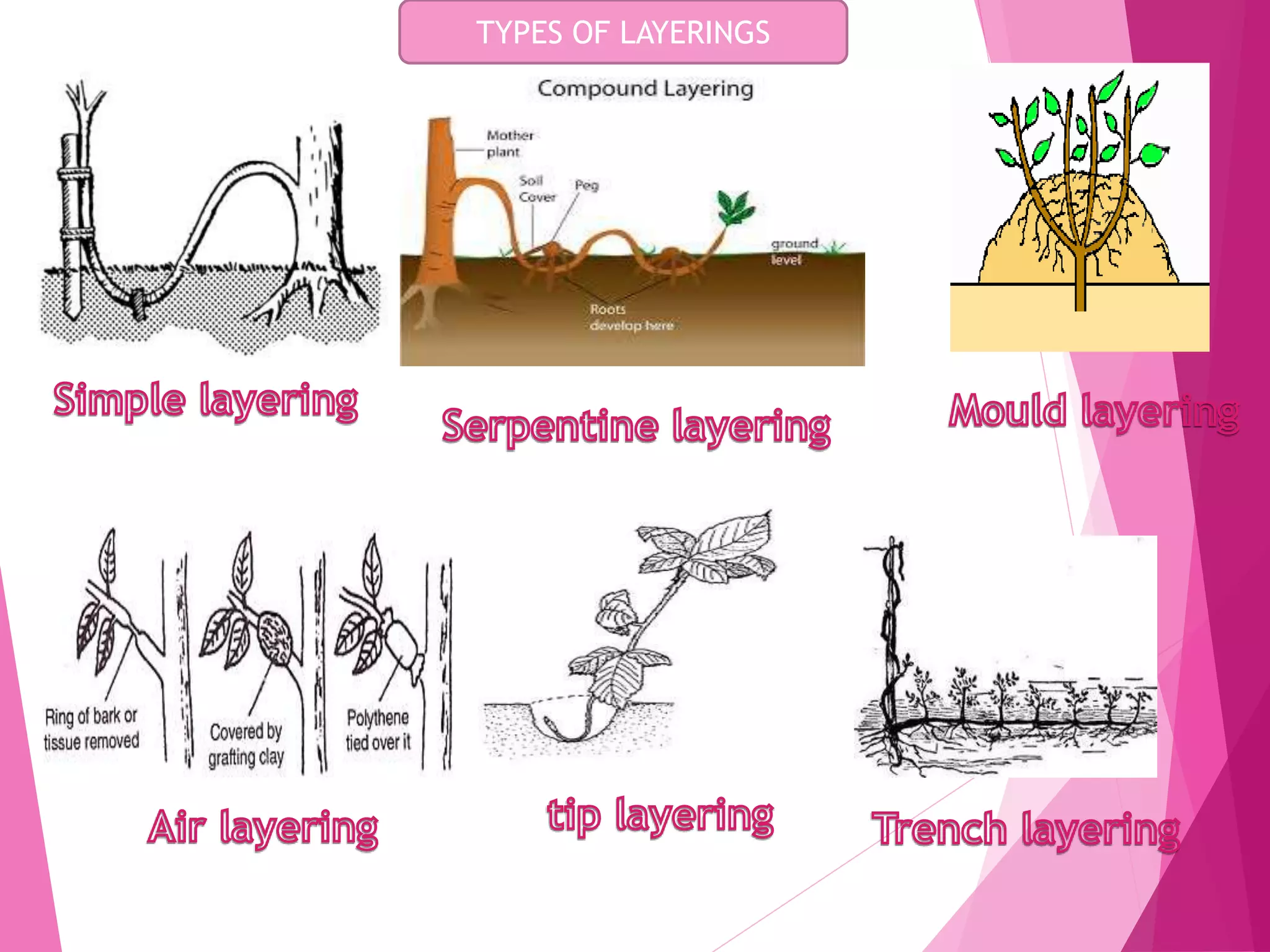TYPES OF LAYERINGS
 