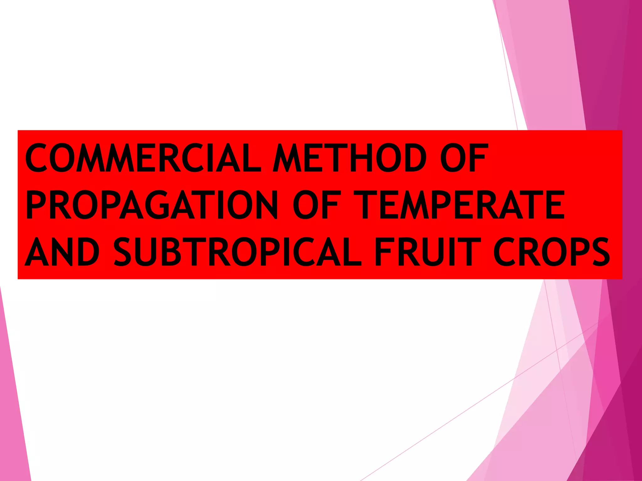 COMMERCIAL METHOD OF
PROPAGATION OF TEMPERATE
AND SUBTROPICAL FRUIT CROPS
 