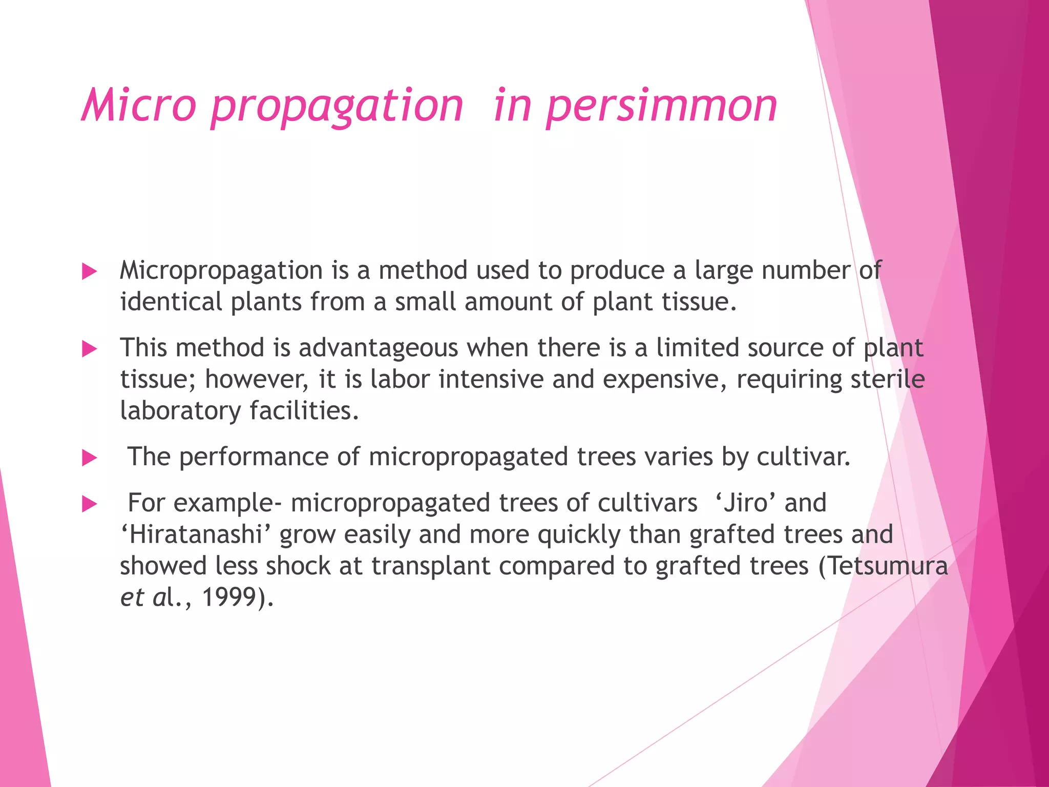 Micro propagation in persimmon
 Micropropagation is a method used to produce a large number of
identical plants from a small amount of plant tissue.
 This method is advantageous when there is a limited source of plant
tissue; however, it is labor intensive and expensive, requiring sterile
laboratory facilities.
 The performance of micropropagated trees varies by cultivar.
 For example- micropropagated trees of cultivars ‘Jiro’ and
‘Hiratanashi’ grow easily and more quickly than grafted trees and
showed less shock at transplant compared to grafted trees (Tetsumura
et al., 1999).
 