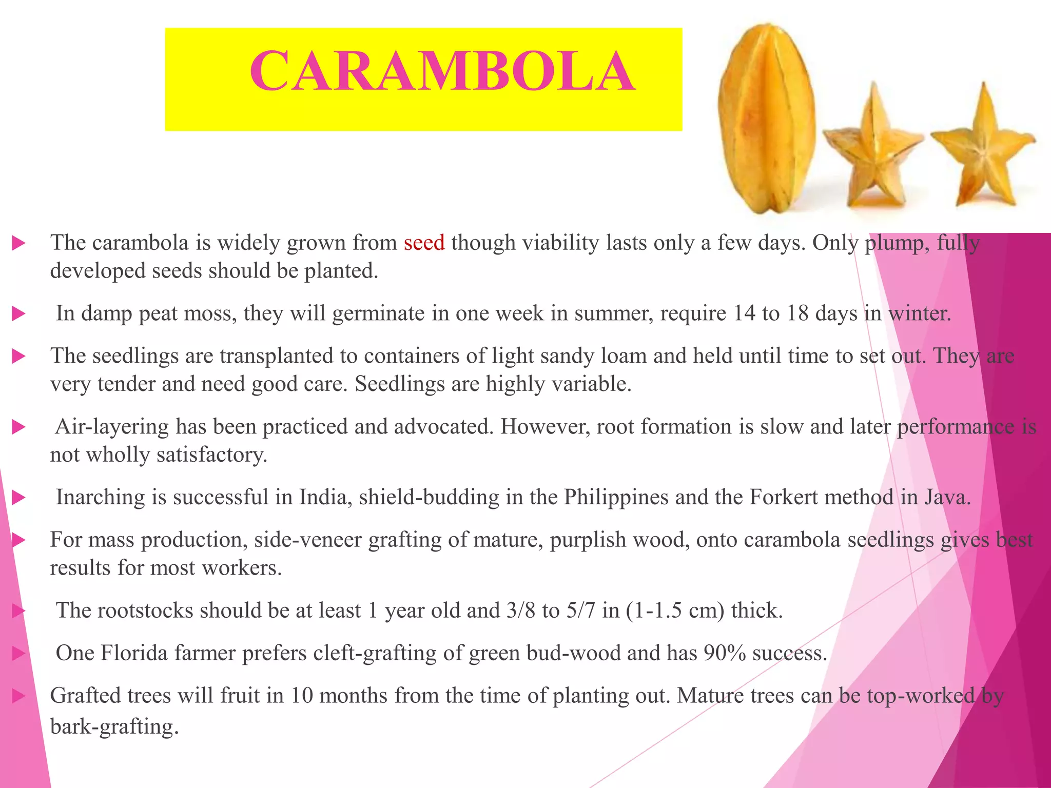 CARAMBOLA
 The carambola is widely grown from seed though viability lasts only a few days. Only plump, fully
developed seeds should be planted.
 In damp peat moss, they will germinate in one week in summer, require 14 to 18 days in winter.
 The seedlings are transplanted to containers of light sandy loam and held until time to set out. They are
very tender and need good care. Seedlings are highly variable.
 Air-layering has been practiced and advocated. However, root formation is slow and later performance is
not wholly satisfactory.
 Inarching is successful in India, shield-budding in the Philippines and the Forkert method in Java.
 For mass production, side-veneer grafting of mature, purplish wood, onto carambola seedlings gives best
results for most workers.
 The rootstocks should be at least 1 year old and 3/8 to 5/7 in (1-1.5 cm) thick.
 One Florida farmer prefers cleft-grafting of green bud-wood and has 90% success.
 Grafted trees will fruit in 10 months from the time of planting out. Mature trees can be top-worked by
bark-grafting.
 