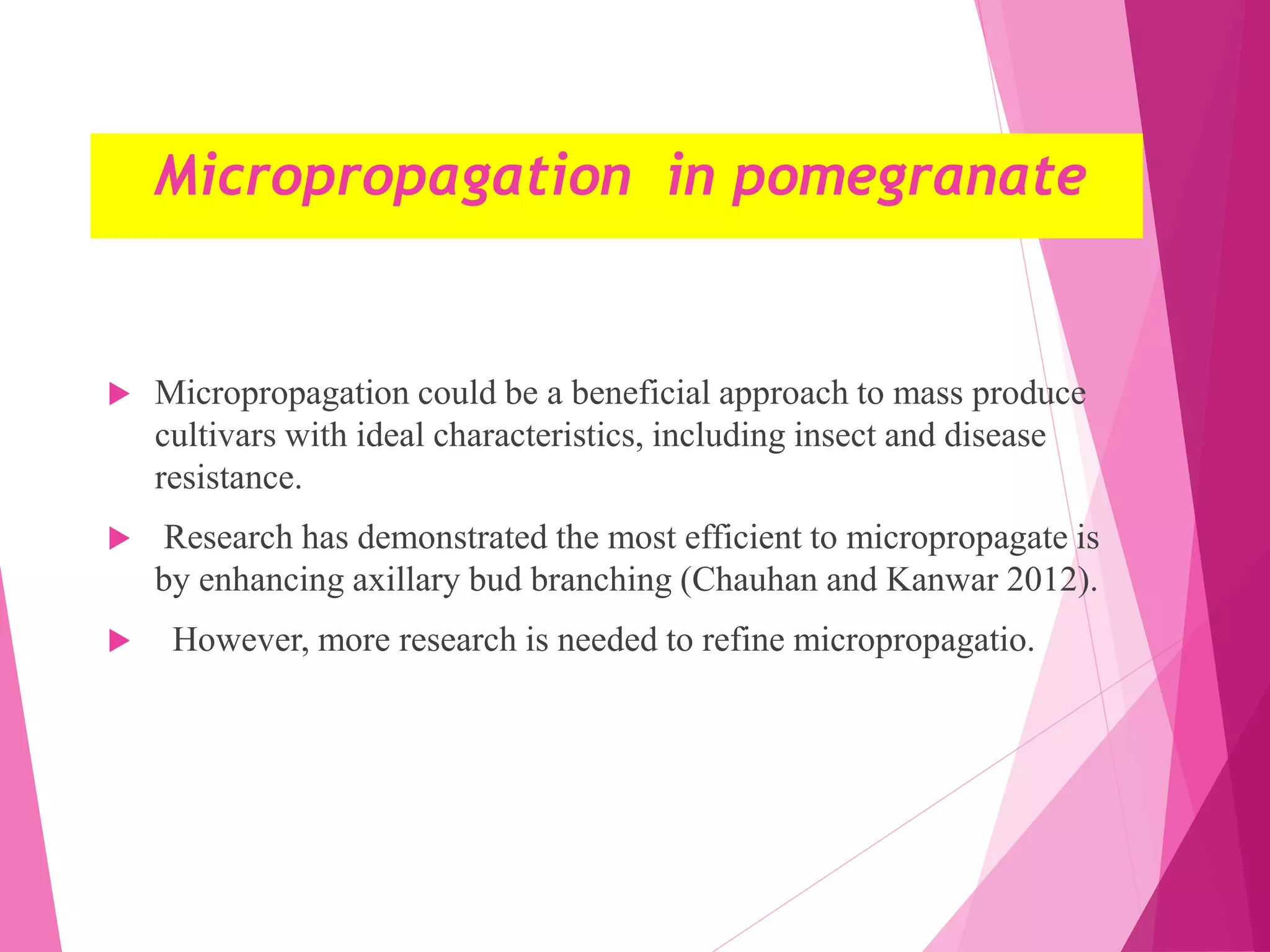 Micropropagation in pomegranate
 Micropropagation could be a beneficial approach to mass produce
cultivars with ideal characteristics, including insect and disease
resistance.
 Research has demonstrated the most efficient to micropropagate is
by enhancing axillary bud branching (Chauhan and Kanwar 2012).
 However, more research is needed to refine micropropagatio.
 
