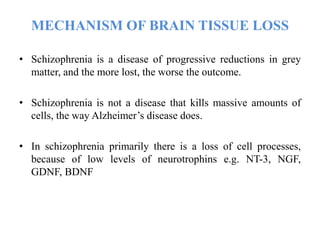 MECHANISM OF BRAIN TISSUE LOSS
• Schizophrenia is a disease of progressive reductions in grey
matter, and the more lost, the worse the outcome.
• Schizophrenia is not a disease that kills massive amounts of
cells, the way Alzheimer’s disease does.
• In schizophrenia primarily there is a loss of cell processes,
because of low levels of neurotrophins e.g. NT-3, NGF,
GDNF, BDNF
 