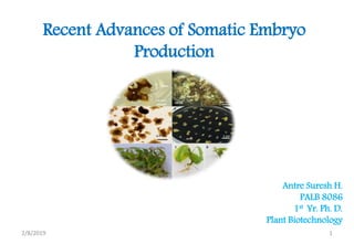 2/8/2019 1
Recent Advances of Somatic Embryo
Production
Antre Suresh H.
PALB 8086
1st Yr. Ph. D.
Plant Biotechnology
 