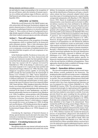 131Shrimp immunity and disease control
ate and inductive stage corresponding to the recognition of
the non-self factors, and to the initiation of immune reactiv-
ity, (ii) a cellular and synthesis stage of effectors, and (iii) a
final humoral and cellular stage of recovery (as reviewed by
Ratcliffe 1993).
SPECIFIC ACTIONS
Within the overall framework of the SI&DC project, spe-
cific actions deal with functional, biochemical, antigenic and
genetic characterisation of effectors involved and expressed
in response to pathological injuries or to stressful conditions
(Figure 1). These actions are based on background knowl-
edge already acquired in shrimps, as well as information from
other better studied crustacean species and other arthropods.
Action 1 – Non-self recognition
The first immune process is the recognition of invading
microorganisms which is mediated both by the hemocytes
and/or plasmatic proteins. There is little information about
the molecular mechanisms that mediate recognition. How-
ever in crustaceans, several types of modulator proteins have
been described that recognise cell wall components of mi-
croorganisms.
In the freshwater crayfish, Pacifastacus leniusculus, a ß-
1,3-glucan-binding protein has been characterized and
cloned, and a hemocyte receptor has been partially charac-
terised that binds the plasmatic glucan-binding protein after
the latter has reacted with ß-1,3-glucan (reviewed by
Söderhäll et al. 1996). In the shrimp, P. californiensis, a pro-
tein which responds to b-1,3-glucan has been purified and
characterised (Vargas-Albores et al. 1996). Recently, a pep-
tidoglycan recognition protein capable of activating the
proPO cascade has been purified from the hemolymph of
Bombyx mori (Yoshida et al. 1996). Various lipopolysac-
charide-binding proteins (LPS-BP) have been characterised
in different arthropods. For example, a lectin entraps bacte-
ria within the hemolymph and participates in tissue regen-
eration in the insect Periplaneta americana (Jomori & Natori
1992, Natori & Kubo 1996); lipophorin detoxifies LPS from
Bombyx mori hemolymph (Kato et al. 1994); and hemolin, a
circulating protein with immunoglobulin-like domains char-
acterised in the blood of some lepidopterans, can bind to
bacteria and possibly function as an opsonin (Lanz-Mendoza
et al. 1996). In addition, various proteins with LPS-binding
properties have been characterised in the Chelicerate,
Tachypleus tridentatus. These include lectins (tachylectins)
and a serine proteinase (factor C) which induces a coagula-
tion cascade (for review, see Iwanaga et al. 1998). In shrimp
and crayfish plasma, LPS-binding proteins that are aggluti-
nins have also been purifed, but their exact role remains to
be determined (Vargas-Albores et al. 1993b, Kopacek et al.
1993a).
Considering the importance of bacterial diseases in
shrimp, special attention must be devoted to the study of the
molecules or mechanisms involved in the recognition of bac-
teria belonging to the Vibrionacea group.
Action 2 – Circulating hemocytes and
hematopoieitic cells
Recognition molecules may interact with and activate the
hemocytes which play an important and central role in host
defence. In crustaceans, according to numerous works deal-
ing with the identification of hemocyte cell types, a classifi-
cation scheme has been commonly adopted which recog-
nises three types of circulating haemocytes, namely hyaline,
semigranular and granular cells (Bauchau A 1981, Martin &
Graves 1985). Based on morphological and cytochemical
characterisation, some functions and involvement in differ-
ent defence reactions have been attributed to the different
cell types. These include the involvement of hyaline cells in
coagulation (Omori et al. 1989), and of granular and semi-
granular cells in phagocytosis (Gargioni & Barracco 1998)
and in the proPO system (Johansson & Söderhäll 1985). Flow
cytometry analysis of the hemocyte populations of the shrimp,
P. japonicus, also revealed three populations according to
cell size, structure and granularity (Sequeira et al. 1995).,
However, divergent results with hemogrammes and deter-
mination of cell populations are still obtained by different
authors. Such contradictory results are particularly evident
when analyses are based on the behaviour and involvement
of hemocyte populations in response to immune stimulation.
Recently, a characterisation of shrimp hemocytes based on
specific monoclonal antibodies has led to the identification
of proteins specifically expressed in different cell types
(Rodriguez et al. 1995). New approaches relating flow
cytometric analyses and molecular markers specific for
hemocytic immune proteins will permit better determination
of the role and function of different cell populations. These
approaches should also help to establish cell lineage, a topic
which is largely still debated in crustaceans.
Action 3 – Immediate defence systems
The non-self recognition factors activate several imme-
diate defence systems mediated by the hemocytes. The
prophenoloxidase (proPO)-activating system is indubitably
one of the better studied system in crustaceans, particularly
in crayfish. This is an immediate defence process which leads
to the reaction of melanisation. Numerous components as-
sociated with it have been characterised and functions can
now be proposed for most of them (Söderhäll et al. 1996,
Söderhäll & Cerenius 1998). The activation (triggering) in
crustacean hemolymph of a rapid and powerful coagulation
reaction is closely related to activation of the proPO system
and it has been studied in some detail in crayfish. It not only
prevents blood loss upon wounding but also performs an
important defence reaction by participating in the engulf-
ment of foreign invading organisms (Kopacek et al. 1993b).
In shrimp, some components of these defence reactions have
been identified or have begun to be characterized. These
include the proPO-activating system (Vargas-Albores et al.
1993a, Perazzolo & Barracco 1997), a plasmatic clotting
factor and α2-Macroglobulin characterised by means of spe-
cific monoclonal antibodies (Rodriguez et al. 1995, Bachère
et al. 1995). Defence reactions also include the hemocytic
process of encapsulation, phagocytosis and production of
microbicidal, cytotoxic, reactive oxygen intermediates such
as those demonstrated in crabs (Bell & Smith 1993) and
shrimp (Song & Hsieh 1994, Bachère et al. 1995). The role
and real function of these immediate defence reactions have
yet to be analysed in regard to pathological injuries, and it is
necessary initially to fully characterise their components in
shrimp.
 