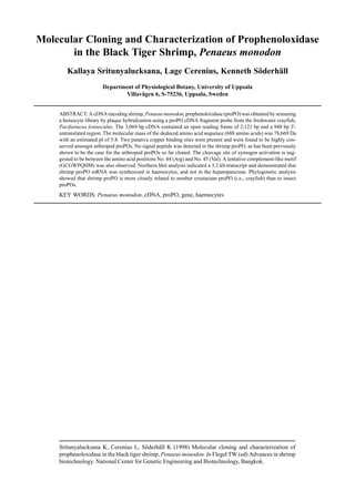 Sritunyalucksana K, Cerenius L, Söderhäll K (1998) Molecular cloning and characterization of
prophenoloxidase in the black tiger shrimp, Penaeus monodon. In Flegel TW (ed) Advances in shrimp
biotechnology. National Center for Genetic Engineering and Biotechnology, Bangkok.
Molecular Cloning and Characterization of Prophenoloxidase
in the Black Tiger Shrimp, Penaeus monodon
Kallaya Sritunyalucksana, Lage Cerenius, Kenneth Söderhäll
Department of Physiological Botany, University of Uppsala
Villavägen 6, S-75236, Uppsala, Sweden
ABSTRACT: A cDNA encoding shrimp, Penaeus monodon, prophenoloxidase (proPO) was obtained by screening
a hemocyte library by plaque hybridization using a proPO cDNA fragment probe from the freshwater crayfish,
Pacifastacus leniusculus. The 3,069 bp cDNA contained an open reading frame of 2,121 bp and a 948 bp 3'-
untranslated region. The molecular mass of the deduced amino acid sequence (688 amino acids) was 78,669 Da
with an estimated pI of 5.8. Two putative copper binding sites were present and were found to be highly con-
served amongst arthropod proPOs. No signal peptide was detected in the shrimp proPO, as has been previously
shown to be the case for the arthropod proPOs so far cloned. The cleavage site of zymogen activation is sug-
gested to be between the amino acid positions No. 44 (Arg) and No. 45 (Val). A tentative complement-like motif
(GCGWPQHM) was also observed. Northern blot analysis indicated a 3.2 kb-transcript and demonstrated that
shrimp proPO mRNA was synthesized in haemocytes, and not in the hepatopancreas. Phylogenetic analysis
showed that shrimp proPO is more closely related to another crustacean proPO (i.e., crayfish) than to insect
proPOs.
KEY WORDS: Penaeus monodon, cDNA, proPO, gene, haemocytes
 