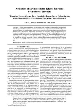 Vargas-Albores F, Jorge Hernández-López J, Gollas-Galván T, Montaño-Pérez K, Jiménez-Vega F,
Yepiz-Plascencia G (1998) Activation of shrimp cellular defence functions by microbial products. In
Flegel TW (ed) Advances in shrimp biotechnology. National Center for Genetic Engineering and
Biotechnology, Bangkok.
*e-mail: fvargas@cascabel.ciad.mx
Activation of shrimp cellular defence functions
by microbial products
*Francisco Vargas-Albores, Jorge Hernández-López, Teresa Gollas-Galván,
Karla Montaño-Pérez, Flor Jiménez-Vega, Gloria Yepiz-Plascencia
CIAD, P.O. Box 1735, Hermosillo, Son., 83000, Mexico.
ABSTRACT: Despite their relatively short life and assumed lesser complexity, crustaceans have mechanisms to
detect foreign matter. For example, they recognize characteristics such as lipopolysaccharides (LPS) and β-glucans
present in bacterial and fungal surfaces. In shrimp, these microbial components can activate cellular defence
functions such as phagocytosis, melanization, encapsulation and coagulation. In spite of a direct stimulation,
two kinds of recognition proteins have been detected in shrimp plasma. The LPS-binding agglutinin acts like an
opsonin to increase the phagocytic rate. After reaction with β-glucans, the beta glucan binding protein (BGBP)
induces degranulation and the activation of pro-phenoloxidase (proPO). The activation of proPO triggers cellu-
lar functions that inactivate, immobilise or destroy invaders. These plasma proteins stimulate cellular function
only after reaction with LPS or β-glucans, in a manner resembling the secondary activities of vertebrate antibod-
ies.
KEY WORDS: shrimp, cellular defence, proPO, BGBP
INTRODUCTION
Similar to other crustaceans, penaeid shrimp have mol-
ecules, cells and systems involved in defensive mechanisms
to prevent invasions by microorganisms. As with vertebrates,
an efficient defence system is expected to include recogni-
tion, effector and regulator components. Depending on the
responding immunological defence mechanisms have been
divided into delayed and immediate responses. As with most
other invertebrates, it has been very difficult to demonstrate
that a delayed response can be established in shrimp. How-
ever, some of their immediate response components have
been studied and most of them have similar characteristics
to those found in vertebrates and in other invertebrates.
Another interesting question concerning invertebrates,
including shrimp, is the specificity of the defence system.
While vertebrates apparently recognise and establish an im-
mune response against an unlimited number of chemical
structures, the invertebrates have a poor, if any, spectrum.
There are few examples of invertebrates responding to chal-
lenge with proteins and other substances.
Besides other functions, the defence system in inverte-
brates is strongly compromised in pathogen elimination.
Thus, the most important foreign signals that they have to
recognise are those localized on the pathogen surface. In
shrimp, two microbial compounds have been shown to be
involved in the stimulation of cellular functions, i.e.,
lipopolysaccharides (LPS) and β−glucans. Although the pri-
mary interaction in both cases could be similar (i.e., directly
or through a plasma protein), the cell targets and the acti-
vated systems are different. Microbial compounds are able
to activate cellular functions directly, but the participation
of plasma proteins improves the efficiency of the immune
system response. These proteins, defined as recognition pro-
teins, react with microbial compounds and either prevent un-
necessary cellular activation or, if necessary, increase the
response of effector cells.
RECOGNITION PROTEINS
In shrimp, two kinds of proteins are involved in the rec-
ognition of microbial products, and their activation of cellu-
lar functions has been described (Vargas-Albores 1995). The
first group is constitutes multivalent sugar-binding aggluti-
nins, also named hemagglutinins or lectins. The second group
constitutes molecules that are apparently monovalent and
do not induce agglutination, even though they are able to
bind sugar residues. Agglutinating activities have been de-
tected in plasma of Penaeus monodon (Ratanapo &
Chulavatnatol 1990), Penaeus stylirostris (Vargas-Albores
et al. 1992), Penaeus californiensis (Vargas-Albores et al.
1993a), P. japonicus (Bacheré et al. 1995) and Penaeus
indicus (Maheswari et al. 1997). However, only the aggluti-
nins from P. monodon and P. californiensis have been puri-
fied and their main properties studied. From P. monodon
plasma, a 420-kDa glycoprotein formed by identical 27-kDa
subunits was isolated by affinity chromatography using a
fetuin-agarose column (Ratanapo & Chulavatnatol 1990).
This lectin, named monodin, can react with NANA (N-acetyl
neuraminic acid) and other N-acetyl amino sugars (GalNAc,
GlcNAc and ManNAc) as determined by inhibition studies.
Monodin induces the agglutination of Vibrio vulnificus, a
major infective bacterium for prawns, and this agglutination
 