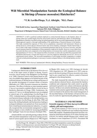 Lavilla-Pitogo CR, Albright LJ, Paner MG (1998) Will microbial manipulation sustain the ecological
balance in shrimp (penaeus monodon) hatcheries? In Flegel TW (ed) Advances in shrimp biotech-
nology. National Center for Genetic Engineering and Biotechnology, Bangkok.
*e-mail: celiap@seafdec.org.ph
Will Microbial Manipulation Sustain the Ecological Balance
in Shrimp (Penaeus monodon) Hatcheries?
*1
C.R. Lavilla-Pitogo, 2
L.J. Albright, 1
M.G. Paner
1
Fish Health Section, Aquaculture Department, Southeast Asian Fisheries Development Center
Tigbauan 5021, Iloilo, Philippines
2
Department of Biological Sciences, Simon Fraser University, Burnaby, British Columbia, Canada
ABSTRACT: A shift in preferred methods employed to contain bacterial diseases in the hatchery phase of
shrimp culture has resulted largely from the unsuccessful control by and deleterious effects of chemotherapy.
Manipulation of hatchery microbial ecology has gained popularity, but for successful implementation, this niche-
filling approach requires a thorough understanding of the epidemiology of bacterial diseases in the hatchery.
This study examined the responses of Vibrio harveyi populations, (associated with luminescent vibriosis in
shrimp larvae) to various physico-chemical factors and various hatchery components. Results showed that V.
harveyi had a wider range of tolerance to environmental parameters than larvae of Penaeus monodon, such that
control measures based on manipulation of these parameters might not be feasible. However, it was evident from
the results that there were components in the shrimp hatchery environment that could be manipulated to control
high populations of V. harveyi. The natural microflora of seawater, as well as the microbial flora associated with
the diatoms Skeletonema costatum and Chaetoceros calcitrans negatively affected the survival of V. harveyi in
experimental mixed cultures. The successful manipulation of such benign microbial components to compete
with and exclude potential pathogens is necessary to sustain ecological balance in the shrimp hatchery environ-
ment.
KEY WORDS: Vibrio harveyi, luminescent vibriosis, shrimp hatchery, Penaeus monodon
INTRODUCTION
Luminescent vibriosis due to the bacteria Vibrio harveyi
is one of the major causes of failure in shrimp, Penaeus
monodon, larval rearing in the Philippines (Lavilla-Pitogo
et al. 1990). Chemical control of the disease based on effi-
cacy of available drugs appears to be limited because of the
restricted tolerance of shrimp larvae to drugs and because of
the possible development of resistant strains of bacteria
(Baticados et al. 1990). Preventive measures are, therefore,
necessary. The effect of chlorine as water treatment against
V. harveyi was tested to establish effective levels for use in
hatcheries (Baticados & Pitogo 1990). Furthermore, the
sources of V. harveyi in shrimp hatcheries were investigated
to unravel part of its epidemiology (Lavilla-Pitogo et al.
1992). A detailed analysis of the possible origin of lumines-
cent bacterial disease outbreaks in the shrimp hatchery was
reviewed recently (Lavilla-Pitogo & dela Peña 1998) and
factors like shifting husbandry and feed practices leading to
ecological imbalance were pointed out. From successful ef-
forts in land-based animal production industries, it is gener-
ally recognized that environmental management to reduce
disease impacts is more reliable for increasing profitability
than “pathogen” hunts for most diseases (Stoskopf 1996).
Armed with this view and with growing evidence for fea-
sible microbial manipulation in the larval rearing environ-
ment of various aquatic species (Dopazo et al. 1988, Nogami
& Maeda 1992, Austin et al. 1995, Garriques & Arevalo
1995, Riquelme et al. 1997, Skjermo et al. 1997), some as-
pects in the larval rearing of Penaeus monodon were exam-
ined to give sound basis for effective control of bacterial
pathogens in the shrimp hatchery.
The study measured the tolerance of Vibrio harveyi to
various physico-chemical factors, determined the hatchery
conditions and components that could control its growth,
and tested its growth in mix cultures with diatoms and other
bacteria. All these were aimed at identifying an ecologically
sound preventive practice against luminescent vibriosis. This
work was based on the premise that sound management of
the microbial balance in the hatchery will prevent the crea-
tion of a niche for opportunistically pathogenic bacteria.
MATERIALS AND METHODS
Growth response of Vibrio harveyi to different
salinity, pH and temperature
The growth response of Vibrio harveyi to various tem-
peratures, salinity, and pH levels were studied using nutrient
broth (NB) medium. Standardized bacterial inoculum con-
tained an initial bacterial density of 101
colony forming units
(cfu)/ml. For salinity and pH tolerance tests, cultures were
incubated at room temperature (27-29°C). Inoculated NB
 