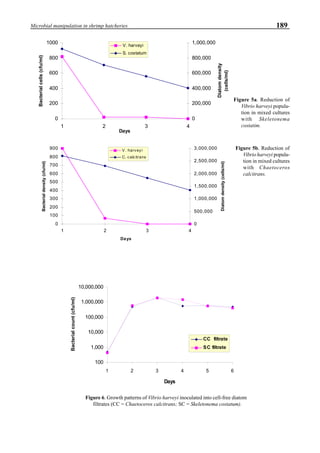 189Microbial manipulation in shrimp hatcheries
Figure 5a. Reduction of
Vibrio harveyi popula-
tion in mixed cultures
with Skeletonema
costatim.
Figure 5b. Reduction of
Vibrio harveyi popula-
tion in mixed cultures
with Chaetoceros
calcitrans.
Figure 6. Growth patterns of Vibrio harveyi inoculated into cell-free diatom
filtrates (CC = Chaetoceros calcitrans; SC = Skeletonema costatum).
0
200
400
600
800
1000
1 2 3 4
Days
Bacterialcells(cfu/ml)
0
200,000
400,000
600,000
800,000
1,000,000
Diatomdensity
(cells/ml)
V. harveyi
S. costatum
0
100
200
300
400
500
600
700
800
900
1 2 3 4
Days
Bacterialdensity(cfu/ml)
0
500,000
1,000,000
1,500,000
2,000,000
2,500,000
3,000,000
Diatomdensity(cells/ml)
V . harveyi
C. calcitrans
100
1,000
10,000
100,000
1,000,000
10,000,000
1 2 3 4 5 6
Days
Bacterialcount(cfu/ml)
CC filtrate
SC filtrate
 