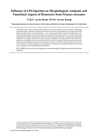 van de Braak CBT, van der Knaap WPW (1998) Influence of LPS-injection on morphological, antigenic
and functional aspects of hemocytes from Penaeus monodon. In Flegel TW (ed) Advances in shrimp
biotechnology. National Center for Genetic Engineering and Biotechnology, Bangkok.
*e-mail: Karin.vandebraak@alg.venv.wau.nl
Influence of LPS-Injection on Morphological, Antigenic and
Functional Aspects of Hemocytes from Penaeus monodon
*C.B.T. van de Braak, W.P.W. van der Knaap
Wageningen Institute of Animal Sciences, Fish Culture and Fisheries Group, Wageningen, The Netherlands
ABSTRACT: Mass culture of penaeid shrimp suffers severe losses caused by infectious diseases. Augmenting
the internal defense capacities of shrimp may help limit such losses. One potential way to increase the shrimp
defense potential may be immunostimulation, i.e., by confronting the defense system with pathogens or mol-
ecules derived from them. In the present study, we focused on the hemocytes of Penaeus monodon. Numerical,
morphological and ultrastructural aspects of the three main hemocyte types (hyaline, semi-granular and granular
hemocytes) were studied. With the aid of eight monoclonal antibodies, a finer discrimination was made of sub-
populations, using light and electron microscopy and facs analysis. Functional defense capacities were meas-
ured by studying phagocytic activity, lysosomal enzyme activities, chemotactic responses, and mitotic activity
of the hemocytes. All these parameters were studied in naive shrimp, and in shrimp at different time intervals
after the injection of bacterial lipopolysaccharide (LPS).
KEY WORDS: Penaeus monodon, haemocytes, immunostimulation, lipopolysaccharide, monoclonal
antibodies
 