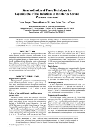 Standardisation of Three Techniques for
Experimental Vibrio Infections in the Marine Shrimp
Penaeus vannamei
*1
Ana Roque, 1
Bruno Gomez-Gil, 2
Ana Luisa Guerra Flores
1
Centro de Investigacion en Alimentacion y Desarrollo
Sabalo Cerritos SN Estero del Yugo CP 82010 AP 711 Mazatlán, Sin. MEXICO
2
Facultad de Ciencias Marinas de la Universidad Autonoma de Sinaloa
Paseo Centenario CP 82000 Mazatlan, Sin. MEXICO
ABSTRACT: The need of a reproducible experimental challenge technique for shrimp bacterial diseases has
long been felt. In this study, two challenge techniques were standardised: bath and oral challenges and compared
with the technique of injection challenge. The uses of each of these techniques is discussed.
KEY WORDS: Penaeus vannamei, Vibrio sp., challenge
*e-mail: roque@victoria.ciad.mx
INTRODUCTION
A reproducible experimental challenge technique for
shrimp bacterial diseases is required for a number of rea-
sons such as assessing the virulence of bacterial isolates and
testing chemicals to be used for disease treatment or preven-
tion. It would also help to determine which environmental
factors affect the onset of vibriosis in cultured shrimp and to
give a better understanding of the relationship between en-
vironmental stressors and bacteria in the aetiology of dis-
ease. In this study, challenge techniques by injection, bath
and oral adminstration were standardised.
INJECTION CHALLENGE
Experimental system
The experimental system used was a small recirculating
system with 16 experimental units (15 L glass tanks). The
tanks were individually aerated through an airline with
airstones all connected to a high volume air blower. The water
conditions were: temperature 25 ± 1° C, salinity 35 ‰, pH
8.0 ± 0.1.
Origin of bacterial isolates and inoculum
preparation
The Vibrio isolates used in this work were collected at
shrimp farms from the state of Sinaloa, Mexico, either from
the sea water or from shrimp. They all were identified with
the help of the BIOLOG system (Biolog inc., Hayward,
USA). They were preserved in Protect Bacterial Preservers
(Technical Service Consultant, Ltd Heywood, Lancs, UK)
at -70° C and resuscitated into tryptone soya broth (TSB,
Difco laboratories, Detroit, USA) with 2 % sodium chloride
(NaCl) at the beginning of each experiment. They were grown
in 10 ml of TSB + NaCl at 30° C for 24h and then centri-
fuged twice at 3500 rpm, 10°C for 15 min. Resuspensions
were made in sterile saline solution (2.5% NaCl). Before
being injected, the inoculum was brought to an optical den-
sity of 1.0 at 610 nm using a spectrophotometer (HACH DR
2010) and then diluted 1:1000. Positive control E.coli (ATCC
25922) was preserved and prepared for injection in the same
manner as the Vibrio isolates.
Bacteriology
The density of inoculum used was monitored by the plate
count method in both TCBS (thiosulphate citrate bile su-
crose agar, Difco Laboratories, Detroit, USA) and tryptone
soya agar (TSA, Difco) with 2.5% NaCl (Austin 1988). TSA
plates inoculated with E. coli (positive control) and with ster-
ile saline solution were also made to verify a similar density
of injected E. coli and the sterility of the saline solution.
Challenge protocol
In these experiments three treatments were used: 1) in-
jection with Vibrio HL57, 2) injection with Vibrio C14, 3)
injection with E. coli, and 4) injection with sterile saline so-
lution (2.5% NaCl). Each treatment had four randomly allo-
cated replicates and each tank contained 10 shrimp.
Experimental procedure
The experimental system was set up with UV sterilised
sea water. After 1 day for stabilization, ten shrimp (approxi-
mately 0.7 g or 4-6 weeks old) were introduced to each tank.
They were allowed to adapt to this system for another three
days before trials were initiated. The shrimp from each tank
were removed and injected with 20 ml of the desired inocu-
lum. A record of daily mortalities for each tank was kept for
five days. The experiment was performed several times to
verify whether there consistently similar levels of mortalities.
Roque A, Gomez-Gil B, Guerra Flores AL (1998) Standardisation of three techniques for experi-
mental Vibrio infections in the marine shrimp Penaeus vannamei. In Flegel TW (ed) Advances in
shrimp biotechnology. National Center for Genetic Engineering and Biotechnology, Bangkok.
 