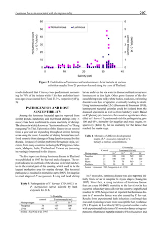 207Luminous bacteria associated with shrimp mortality
results indicated that V. harveyi was predominant, account-
ing for 70% of the isolates while V. fischeri and other lumi-
nous species accounted for 6.7 and 23.3%, respectively (Fig.
3).
PATHOGENESIS AND HOST
SUSCEPTIBILITY
Among the luminous bacterial species reported from
shrimp ponds, hatcheries and moribund shrimp, only V.
harveyi has been confirmed to cause mortality of shrimp.
The disease is widely known as “luminous disease” or “Kung
ruangsang” in Thai. Epizootics of this disease occur several
times a year and are expanding throughout shrimp farming
areas along the coast. A number of shrimp farmers have suf-
fered severely from damage of long duration caused by this
disease. Because of similar problems throughout Asia, sci-
entists from many countries including the Philippines, Indo-
nesia, Malaysia, India, Thailand and Taiwan are becoming
increasingly interested in this disease.
The first report on shrimp luminous disease in Thailand
was published in 1987 by Sae-oui and collaegues. The re-
port indicated an outbreak of the disease in shrimp hatcher-
ies in the central part of the country, which used to be the
largest productive area for marine shrimp. The bacterial
pathogenesis resulted in mortalities up to 100% for naupliar
to zoeal stages of P. merguiensis. Living and dead shrimp
larvae and even the sea water in disease outbreak areas were
luminescent in dim light. Other gross features of the dis-
eased shrimp were milky white bodies, weakness, swimming
disorders and loss of appetite, eventually leading to death.
Using luminous media (LM) (Baumann & Baumann 1981),
luminescent bacterial colonies could be isolated from the
diseased specimens as well as from hatchery water. Based
on 47 phenotypic characters, the causative agents were iden-
tified to V. harveyi. Experimental trials for pathogenicity gave
100 and 95% mortality for naupliar and zoeal stages, re-
spectively (Table 3), but no mortality for the larvae that
reached the mysis stage.
In P. monodon, luminous disease was also reported ini-
tially from larvae at naupliar to mysis stages (Ruangpan
1987). Since then, a rising incidence of luminous disease
that can cause 80-100% mortality to the larval stocks has
occurred in hatchery areas all over the country (unpublished
results). In 1990, Songserm et al. reported that luminous dis-
ease in P. monodon larvae was also caused by V. harveyi.
Results from experimental bath infections confirmed that
zoea and mysis stages were more susceptible than postlarvae
(PL). Prayinto & Latchford (1995) reported similar results
with experimental infections of P. monodon larvae using sus-
pensions of luminous bacteria related to Photobacterium and
Table 3. Pathogenicity of V. harveyi CHA 86021 to
P. merguiensis larvae infected by bath
exposure for 24 h.
% Mortality
control Treatment (cfu/ml)
Shrimp stages 10 7
10 8
Nauplius 70 100 100
Zoea 60 ND 95
Source : Sae-Oui et al. 1987
Table 4. Mortality of different developmental
stages of P. monodon exposed to V.
harveyi at various concentrations.
% Mortality
Control Treatment/(cfu/ml)
Shrimp stages 10 8
10 6
10 5
10 4
Nauplius 35 100 100 ND 100
Zoea 25 100 100 75 100
Mysis 25 75 70 ND 53
Postlarva 20 50 50 45 35
Source : Limsuwan 1989, Songserm et al., 1990
Figure 3. Distribution of luminous and nonluminous vibrio bacteria at various
salinities sampled from 21 provinces located along the coast of Thailand.
0
10
20
30
40
50
60
0 10 20 30 40
Salinity(ppt)
Nonluminouscount
(x102
cfu/ml)
0
1
2
3
4
5
6
Luminouscouunt
(x102
cfu/ml)
Nonluminous Luminous
 