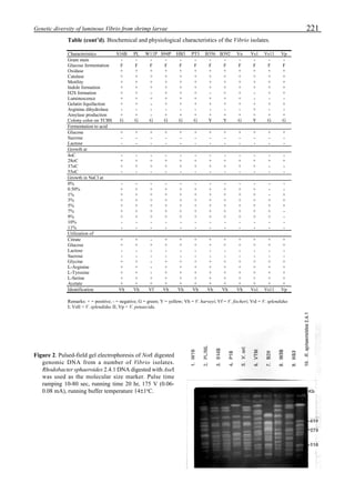 221Genetic diversity of luminous Vibrio from shrimp larvae
Figure 2. Pulsed-field gel electrophoresis of NotI digested
genomic DNA from a number of Vibrio isolates.
Rhodobacter sphaeroides 2.4.1 DNA digested with AseI
was used as the molecular size marker. Pulse time
ramping 10-80 sec, running time 20 hr, 175 V (0.06-
0.08 mA), running buffer temperature 14±1o
C.
Table (cont’d). Biochemical and physiological characteristics of the Vibrio isolates.
Characteristics S16B PL W11P S94P HB3 PT3 B356 B392 Vo Vs1 Vs11 Vp
Gram stain - - - - - - - - - - - -
Glucose fermentation F F F F F F F F F F F F
Oxidase + + + + + + + + + + + +
Catalase + + + + + + + + + + + +
Motility + + + + + + + + + + + +
Indole formation + + + + + + + + + + + +
H2S formation + + - + + + - + + - + +
Luminescence + + + + + + + + + - - -
Gelatin liquifaction + + - + + + + + + + + +
Arginine dihydrolase - - - - - - - - - + - -
Amylase production + + - + + + + + + + + +
Colony color on TCBS G G G G G G Y Y G Y G G
Fermentation to acid
Glucose + + + + + + + + + + + +
Sucrose - - - - - - - - - - - -
Lactose - - - - - - - - - - - -
Growth at
4oC - - - - - - - - - - - -
28oC + + + + + + + + + + + +
37oC + + + + + + + + + + - -
55oC - - - - - - - - - - - -
Growth in NaCl at
0% - - - - - - - - - - - -
0.50% + + + + + + + + + + - -
1% + + + + + + + + + + - +
3% + + + + + + + + + + + +
5% + + + + + + + + + + + +
7% + + + + + + + + + + + -
9% + + + + + + + + + + + -
10% - - - - - - - - - - - -
11% - - - - - - - - - - - -
Utilization of
Citrate + + - + + + + + + + + +
Glucose + + + + + + + + + + + +
Lactose - - - - - - - - - - - -
Sucrose - - - - - - - - - - - -
Glycine + + - + + + + + + + + +
L-Arginine + + - + + + + + + + + +
L-Tyrosine + + - + + + + + + + + +
L-Serine + + + + + + + + + + + +
Acetate + + + + + + + + + + + +
Identification Vh Vh Vf Vh Vh Vh Vh Vh Vh Vs1 Vs11 Vp
Remarks: + = positive; - = negative; G = green; Y = yellow; Vh = V. harveyi; Vf = V. fischeri; VsI = V. splendidus
I; VsII = V. splendidus II; Vp = V. penaecida.
 