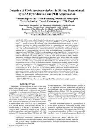 Rojlorsakul P, Boonsaeng V, Panbangred W, Suthienkul, Pasharawipas T, Flegel TW (1998) Detec-
tion of Vibrio parahaemolyticus in shrimp haemolymph by DNA hybridization and PCR amplifica-
tion. In Flegel TW (ed) Advances in shrimp biotechnology. National Center for Genetic Engineering
and Biotechnology, Bangkok.
*e-mail: sctwf@mahidol.ac.th
Detection of Vibrio parahaemolyticus in Shrimp Haemolymph
by DNA Hybridization and PCR Amplification
1
Prasert Rojlorsakul, 2
Vichai Boonsaeng, 1
Watanalai Panbangred
3
Orasa Suthienkul, 4
Tirasak Pasharawipas, *1
T.W. Flegel
1
Department of Biotechnology and 2
Department of Biochemistry, Faculty of Science
Mahidol University, Rama 6 Road, Bangkok 10400, Thailand
3
Department of Microbiology, Faculty of Public Health, Mahidol University
Ratchawithi Road Bangkok 10400, Thailand
4
Department of Microbiology, Facutly of Science, Rangsit University
Paholyothin Road Pathumthani 12000, Thailand
ABSTRACT: A DNA probe and a PCR method were developed for detection of penaeid shrimp pathogenic
Vibrio parahaemolyticus. From a genomic library, a probe named pVPA7 was selected and subcloned. It con-
tained a 1.5 Kb species-specific DNA fragment which was selected by hybridization techniques for use as a
DNA probe. This probe gave positive hybridization for all of the V. parahaemolyticus strains tested (including
141 strains of V. parahaemolyticus from clinical and environmental sources) but gave negative hybridization
with a wide range of other Vibrio species and with bacterial species representative of other genera. The probe
sensitivity limit for V. parahaemolyticus was 105
CFU/ml by dot blot hybridization. After sequencing the 1.5 Kb
fragment, primers VPAFOR3 and VPAREV1 were designed and showed good specificity for V. parahaemolyticus,
yielding a single 285 bp fragment in PCR amplification tests. The specificity was 100% for the bacterial strains
tested and sensitivity as 100 fg DNA and 4x103
CFU/ml (i.e., crude lysate equivalent to 20 CFU/ reaction).
Southern blot hybridization of amplified products improved detection to as low as 0.1 fg DNA. PCR amplifica-
tion was completely inhibited by 2x1010
CFU/ml (i.e., 108
CFU/reaction). The lowest concentration of cells that
could be detected in shrimp haemolymph was 4.0x103
CFU/ml (i.e., 20 CFU/reaction). However, V.
parahaemolyticus cells at 108
did not inhibit amplification in the haemolymph samples. Nor was there any
interference from addition of E. coli at equal concentrations up to 2x109
CFU/ml (i.e., 107
CFU/reaction). Fur-
thermore, E. coli additions up to 2x109
CFU/ml (i.e., 107
CFU/reaction) did not affect detection of V.
parahaemolyticus at 4x103
CFU/ml (i.e., 20 CFU/reaction). Dot blot hybridization of amplified products im-
proved detection to as low as 20 CFU/ml of V. parahaemolyticus. No hybridization occurred with PCR amplifi-
cation reaction mixtures using other bacteria, native haemolymph or diluted anticoagulant/haemolymph as tem-
plates. The lowest concentration of V. parahaemolyticus cells that could be detetected in haemolymph by PCR
combined with chromatographic capture detection using a Gene Comb kit was 2x103
CFU/ml (i.e., 10 CFU/
reaction). Other Vibrio species gave negative results.
KEY WORDS: Vibrio parahaemolyticus, DNA probe, PCR, shrimp, haemolymph, detection
INTRODUCTION
Vibriosis is a serious problem in the majority of penaeid
shrimp culture operations. Vibrio species are a normal part
of the bacterial flora in aquatic environments and formerly
considered to be mostly opportunistic pathogens (Lightner,
1988). However, some more recently occurring disease syn-
dromes of penaeid shrimp have been caused by Vibrio spe-
cies which behave more like true pathogens than opportun-
istic invaders (Lightner et al., 1992). In Thailand, vibriosis
is the main cause of production loss due to bacterial disease
in penaeid shrimp farms (Nash et al., 1992). The major Vi-
brio species isolated from diseased shrimp are V.
parahaemolyticus, V. harveyi, V. alginolyticus and V.
vulnificus, while V. damsela, V. anguillarum and V. fluvialis
have been reported less frequently (Leangphibul et al., 1985;
Lightner, 1988; Ruangpan and Kitao, 1991, Nash et al., 1992;
Jiravanichpaisal et al., 1994). Vibriosis causes mortality in
larvae, postlarvae, juveniles, subadults and also adults. At
times, outbreaks cause mortality up to nearly 100% of af-
fected populations (Lighner 1983). The gross signs of local-
ized infection in the cuticle or subcuticle are called shell
disease or black or brown spot disease and these superficial
infections can develop into systemic infections under some
circumstances. It is the systemic infections that cause mor-
tality.
The usual method for diagnosis of Vibrio infections in
farmed shrimp is based on identification of single colony
isolates by traditional nutritional and biochemical tests
(Baumann and Schubert, 1984, Anderson et al., 1988). How-
ever, this process can take several days to complete and it
may be too slow for practical management decisions by
 