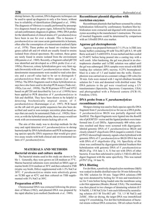 228 Rojlorsakul et al.
shrimp farmers. By contrast, DNA diagnostic techniques can
be used to speed up diagnosis to only a few hours, without
loss in reliability of identification (Dalsgaard et al., 1996).
The diagnosis of Vibriosis is usually performed by presump-
tive diagnosis based on gross signs, followed by histologi-
cal and confirmatory diagnosis (Lightner, 1996). DNA probes
for the identification of clinical strains of V. parahaemolyticus
have been in use for over a decade. This is because V.
parahaemolyticus can cause acute gastroenteritis in humans,
often after the consumption of contaminated seafood (Spite
et al., 1978). These probes are based on virulence factor
genes called tdh and trh which are usually found in strains
isolated from clinical specimens. By contrast, these genes
are rarely found in strains isolated from the environment
(Miyamoto et al., 1969). Recently, a fragment called pR72H
was identified and developed as a DNA probe (Lee et al.,
1995a). However, colony hybridization gave very faint sig-
nals (brownish) with non-V. parahaemolyticus strains. Thus,
densitometer measurements were needed to read color den-
sity and a cut-off value had to be set to distinguish V.
parahaemolyticus from other Vibrio species (Lee et al.,
1995a). The DNA fragments used in these hybridization as-
says have also been used to develop PCR assays (Tada etal.,
1992a, Lee etal., 1995b). The PCR primers VP33 and VP32
based on pR72H and described by Lee et al. (1995b) have
been applied to PCR detection of V. parahaemolyticus in
fish and shellfish. They have been shown to be helpful in
detecting biochemically atypical strains of V.
parahaemolyticus (Karunasagar et al., 1997). PCR based
on the tdh and trh gene probe sequences has also been de-
scribed and used in non-isotopic microtitre plate-based as-
says that can easily be automated (Tada et al., 1992b). How-
ever, as with the hybridization probe, these assays would not
work with environmental strains lacking tdh or trh.
The aim of this study was to develop methods for the
easy and rapid detection of V. parahaemolyticus in shrimp
haemolymph by DNA hybridization and PCR techniques us-
ing species specific DNA sequences that would give posi-
tive assay results with both clinical and environmental iso-
lates of V. parahaemolyticus.
MATERIALS AND METHODS
Bacterial strains and culture media
The bacterial strains used in this study are shown in Ta-
ble 1. Generally, they were grown on LB medium at 37°C.
Marine bacterial substrains were enriched on MHA agar or
marine broth 2216 medium at 30°C and then cultured in TSB
(tryptic soy broth, Difco) supplemented with 1-3% NaCl at
30°C. V. parahaemolyticus strains were selectively grown
on TCBS agar at 42°C and then cultured on TSB supple-
mented with 3% NaCl at 30o
C.
Preparation of DNA
Chromosomal DNA was extracted following the proce-
dure of Miura (1962), and plasmid DNA was prepared by
the rapid alkaline lysis method (Sambrook et al., 1989).
Recombinant plasmid digestion with
resriction enzymes
Recombinant plasmids that had been screened by colony
hybridization followed by confirmatory Southern blot hy-
bridization were extracted and digested with restriction en-
zymes according to the manufacturer’s instructions. The sizes
of inserted fragments could be determined by comparison
with an l HindIII DNA size marker.
Agarose gel electrophoresis
Agarose was prepared between 0.7-1.5% in 1xTBE (tris
borate buffer) containing 89 mM Tris-HCl pH 8.3, 89 mM
Boric acid and 2.5 mM EDTA. It was melted and then cooled
to 55-60°C before being poured into a casting tray with a
well comb. After hardening, the gel was placed in an elec-
trophoresis chamber and 1xTBE solution was added until
the gel was submerged. DNA samples were mixed with BJII
loading dye solution (40% sucrose, 0.25% bromophenol
blue) in a ratio of 1:3 and loaded into the wells. Electro-
phoresis was carried out at a constant voltage (100 volts) for
30 min. Gels were stained with 1 mg/ml ethidium bromide
solution for 5 min and destained with distilled water. The
DNA patterns in the gel were visualized using a UV
transluminator (Spectrolin, Spectronic Corporation, USA)
and photographed with a Polaroid camera (FCR-10,
Fotodyne, USA).
DNA probe from a V. parahaemolyticus
recombinant clone
Shotgun cloning was used to find a species-specific DNA
fragment from V. parahaemolyticus for use as a DNA probe.
V. parahaemolyticus BG26 was partially digested with
SauIIIAI. The digest fragments were ligated into the BamHI
site of pGEM7Zf+ vector and the ligated products were trans-
formed into E.coli DH5a. Approximately 400 white colo-
nies resulted and these were screened with digoxigenin-
labeled genomic DNA of V. parahaemolyticus BG26 and
closely related P. shigelloides DNA (negative control). Clone
pVPA22 showed high intensity signals when hybridized with
genomic DNA of V. parahaemolyticus BG26 DNA but not
with DNA of P. shigelloides (Fig. 14). Specificity of this
clone was confirmed by digoxigenin-labeled Southern blot
hybridization with genomic DNA of V. parahaemolyticus
BG26 (Fig. 15A lane 3, 4, 5) but not with DNA of other
bacteria. It was then subcloned to yield a 1.5 Kb EcoRI/SacI
digest fragment with the same specificity. This was named
pVPA7 (Fig. 16 lane 9).
DNA Blotting
For dot blots, a positively charged nylon membrane (S&S)
was soaked in double distilled water for 30 min followed by
10x SSC solution for 30 min. Target DNA solutions (500
ng) were denatured by boiling for 10 min and transfered to
ice for 5 min before being loaded onto the membrane using
a dot blot apparatus (Biodot, Biorad, USA). The membrane
was then placed in two changes of denaturing solution (0.5
N NaOH, 1.5 M NaCl) for 5 min each followed by neutraliz-
ing solution (0.5 M Tris-HCl pH 7.0, 1.5 M NaCl) and
2xSSC. After air drying, the target DNA was immobilized
using UV crosslinking. For dot blot hybridization of bacte-
rial strains without DNA extraction, 100 ml culture broth at
 