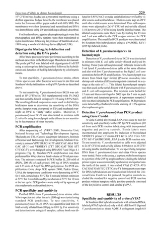 229Detection of Vibrio in shrimp haemolymph
109
CFU/ml was loaded on a prewetted membrane using a
dot blot apparatus. To lyse the cells, the membrane was placed
twice for 5 min on a filter paper soaked with 10% SDS. The
membranes were then denatured and neutralized and DNA
was immobilized using UV crosslinking as already described.
For Southern blots, agarose electrophoresis gels were first
photographed and DNA patterns were then transferred to
nylon membranes following the protocol of Sambrook et al.,
1989 using a sandwich blotting device (Hybaid, UK).
Digoxigenin labeling, hybridization and
detection using the DNA probe
All of these procedures were performed according to the
methods described in the Boehringer Mannheim kit manual.
The probe pVPA7 was labeled with digoxigenin-11-dUTP
using a random prime labeling method followed by hybridi-
zation and detection of the Dig-labeled probe by colorimetric
means.
To test specificity, V. parahaemolyticus strains, others
Vibrio species and other bacteria were used in dot blot and
Southern blot hybridizations with pVPA7 probe as described
above.
To test sensitivity, V. parahaemolyticus BG26 was cul-
tured at 109
CFU/ml in TSB supplemented with 3% NaCl
and then serially diluted in steps of 1:10 using 0.85% NaCl.
The resulting diluted suspensions were used in dot blot hy-
bridization tests to determine the sensitivity of the DNA
probe. Samples were also spread on TSA and incubated over-
night at 30°C to verify viable counts. Moreover, V.
parahaemolyticus BG26 was also tested in mixtures with
E.coli cells using haemolymph as the diluent to test sensitiv-
ity in the presence of other bacteria.
PCR amplification
After sequencing of pVPA7 (BSU, Bioservice Unit,
National Science and Technology Development Agency,
Thailand) and CEL (Central equipment laboratory, Institute
of Science and Technology for Development, Mahidol Uni-
versity), primers VPAFOR3 (5’-GTT AGC CAC AGA TGC
GAC AT-3’) and VPAREV1 (CTT GTG GAT TGG ATT
CTC GC-3’) were designed using DNASIS 7 and Oligo 4.1
programs (Fig. 1). Standard PCR amplification was then
performed for 40 cycles in a final volume of 50 ml per reac-
tion. The mixture contained 1xPCR buffer II, 200 mM of
dNIPs, 200 nM of each primer, 100 ng of DNA template
and 1.25 units of AmpliTaq DNA polymerase. For PCR am-
plification (Gene Amp PCR system 2400, Perkin Elmer,
USA), the temperature conditions were denaturing at 94°C
for 1 min, annealing at 65°C for 1 min and primer extension
at 72°C for 1 min followed by incubation at 72°C for 10 min
at the last cycle. PCR products were analyzed by agarose gel
electrophoresis as described above.
PCR specificity and sensitivity
Purified DNA from V. parahaemolyticus strains, other
Vibrio species and other bacteria (100 ng) were tested using
standard PCR conditions. To test sensitivity, V.
parahaemolyticus BG26 DNA was quantified and then 10
fold serially diluted from100 pg, to 0.01 fg. For sensitivity
and detection tests using cell samples, culture broth was di-
luted in 0.85% NaCl to make serial dilutions verified by vi-
able counts as described above. Dilutions were kept at -20°C
until after viable counts were determined. Then cell suspen-
sions were adjusted to 2x1010
CFU/ml and serially diluted
1:10 down to 20 CFU/ml using double distilled water. The
diluted suspensions were then lysed by boiling for 15 min
and 5 ml was added to the PCR reagent mixture for PCR
amplification. The amplified PCR products were then tested
by Southern blot hybridization using a VPAFOR3, REV1
(285 bp) labeled probe.
Detection of V. parahaemolyticus in
haemolymph
Detection of V. parahaemolyticus BG26 was also tested
in mixtures with E. coli cells serially diluted and lysed by
boiling. These lysed cell suspensions (5 ml) were mixed with
5 ml lysed V. parahaemolyticus cells at the same dilution
and also with low V. parahaemolyticus but high E. coli con-
centrations before PCR amplification. First, haemolymph was
drawn from black tiger shrimp (Penaeus monodon) into
shrimp salt solution (SSS) anticoagulant contained in a sy-
ringe at the ratio of 1:1. This diluted haemolymph sample
was then used as the serial diluent with V. parahaemolyitcus
and E. coli cell suspensions. The mixtures were boiled for
15 min and then centrifuged at 5000 rpm for 5 min to pack
cell debris and denatured protein. A supernatant sample (5
ml) was then subjected to PCR amplification. PCR products
were detected by ethidium bromide staining of 1.5% agarose
electrophoresis gels.
Detection V. parahaemolyticus PCR product
using Gene Combâ
A Gene Combâ kit (Biorad, USA) was used to test for
sensitivity and specificity to the 285 bp PCR amplicon (10
ml from each PCR reaction tube) along with incorporated
negative and positive controls. Biotin labels were
incorportated into amplicons by inclusion of biotinilated
VPAREV1 primer (5’-biotin-CTT GTG GAT TGG ATT
CTC GC-3’) (GIBCOBRL, USA ) in the PCR reaction mix.
To test senstivity, V. parahaemolyticus cells were adjusted
to 2x107
CFU/ml and serially diluted 1:10 down to 20 CFU/
ml using double distilled water. To test specificity, template
DNA from V. parahaemolyticus and other Vibrio species
were tested. Prior to the assay, a capture probe homologous
to a portion of the 285 bp amplicon but excluding the labeled
primer region was commercially synthesized and spotted onto
the teeth of the comb. It was called VPA1 (5’-CTA ATG
CAC GAC GAG TCC CTT CAA-3’). Subsequent assay steps
for DNA hybridization and visualization followed the Uni-
versal Gene Comb test kit protocol. Negative controls in-
cluded the standard kit negative control and PCR reaction
product without template while positive controls consisted
of the kit positive control and labeled pVPA7.
RESULTS
Specificity and sensitivity of probe pVPA7
In Southern blot hybridization tests with extracted DNA,
labeled pVPA7 hybridized only with EcoRI/BamHI digested
V. parahaemolyticus strain AQ4613 at fragment length 6.8
 