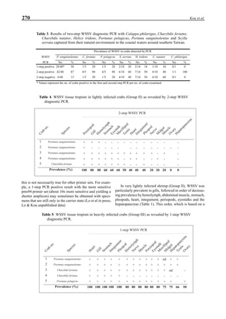 270 Kou et al.
H
em
olym
ph
G
ill
Stom
ach
M
axilliped
Eyestalk
Pereiopod
Testis
M
idgut
N
erve
O
varyH
epatopancreas
H
eart
M
uscle
Crab
no.
Integum
ent
Species
1
2
3
4
5
P r e v a l e n c e ( % )
P o r t u n u s s a n g u i n o l e n t u s
P o r t u n u s s a n g u i n o l e n t u s
P o r t u n u s s a n g u i n o l e n t u s
P o r t u n u s s a n g u i n o l e n t u s
C h a r y b d i s f e r i a t u s
+
+
+
+
+
1 0 0
+
-
+
+
+
8 0
+
-
+
+
+
8 0
-
-
+
+
+
6 0
-
-
+
+
+
6 0
-
-
+
+
+
6 0
-
+
-
+
5 0
-
-
+
+
-
4 0
-
-
+
-
-
2 0
-
-
+
+
-
4 0
-
-
-
+
-
2 0
-
-
+
-
-
2 0
-
-
-
-
-
0
-
0
2 - s t e p W S S V P C R
Pleopod
-
-
+
-
+
4 0
this is not necessarily true for other primer sets. For exam-
ple, a 1-step PCR positive result with the more sensitive
pms94 primer set (about 10x more sensitive and yielding a
shorter amplicon) may sometimes be obtained with speci-
mens that are still only in the carrier state (Lo et al in press,
Lo & Kou unpublished data)
In very lightly infected shrimp (Group II), WSSV was
particularly prevalent in gills, followed in order of decreas-
ing prevalence by hemolymph, abdominal muscle, stomach,
pleopods, heart, integument, periopods, eyestalks and the
hepatopancreas (Table 1). This order, which is based on a
Table 3. Results of two-step WSSV diagnostic PCR with Calappa philarigus, Charybdis feriatus,
Charybdis natator, Helice tridens, Portunus pelagicus, Portunu sanguinolentus and Scylla
serrata captured from their natural environment in the coastal waters around southern Taiwan.
Prevalence of WSSV in crabs detected by PCR
WSSV P. sanguinolentus C. feriatus P. pelagicus S. serrata H. tridens C. natator C. philarigus
PCR No % No % No % No % No % No % No %
1-step positive 28/48* 58 1/5 20 1/5 20 2/10 20 2/14 14 1/10 10 0/1 0
2-step positive 42/48 87 4/5 80 4/5 80 6/10 60 7/14 50 4/10 40 1/1 100
2-step negative 6/48 13 1/5 20 1/5 20 4/10 40 7/14 50 6/10 60 0/1 0
* Values represent the no. of crabs positive in the first and second step PCR per no. of crabs examined.
Table 4. WSSV tissue tropism in lightly infected crabs (Group II) as revealed by 2-step WSSV
diagnostic PCR. Stom
ach
G
ill
Integum
ent
N
erve
H
em
olym
ph
H
eart
M
uscle
M
idgut
M
axilliped
TestisO
vary
Pereiopod
H
epatopancreas
Crab
no.
Eyestalk
Species
1
2
3
4
5
P r e v a l e n c e ( % )
P o r t u n u s s a n g u i n o l e n t u s
P o r t u n u s s a n g u i n o l e n t u s
C h a r y b d i s f e r i a t u s
C h a r y b d i s f e r i a t u s
P o r t u n u s p e l a g i c u s
+
+
+
+
+
1 0 0
+
+
+
+
+
1 0 0
+
+
+
+
+
1 0 0
+
+
+
+
+
1 0 0
+
+
+
-
+
8 0
n d
+
+
-
+
7 5
+
+
n d
-
+
7 5
-
+
5 0
+
+
+
-
+
8 0
+
+
+
-
+
8 0
+
+
+
-
+
8 0
+
+
+
-
+
8 0
+
+
+
-
+
8 0
+
+
-
6 6
1 - s t e p W S S V P C R
Pleopod
+
+
+
+
+
1 0 0
Table 5. WSSV tissue tropism in heavily infected crabs (Group III) as revealed by 1-step WSSV
diagnostic PCR.
 