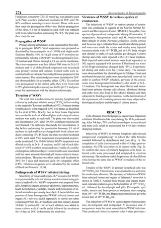 274 Kasornchandra & Boonyaratpalin
Fungizone, osmolarity 720±20 mmol/kg, was added to each
well. Plate was then sealed and incubated at 28o
C until 70-
80% confluent monolayers were formed. These cells were
then ready for propagation of the virus. Before propagation
of the virus, 0.1 ml of medium in each well was replaced
with fresh culture mediim containing 5% FCS. The plate was
then ready for use.
Propagation of WSSV
Primary shrimp cell cultures were examined for thier abil-
ity to propagate WSSV. Viral suspension was prepared as
described by Boonyaratpalin et al. (1993) with slight modi-
fications. Briefly, 10% (w/v) gill tissue of P. monodon ex-
perimentally infected with WSSV was homogenized in 2xL-
15 medium and filtered through a 0.2 µm sterile membrane.
The virus suspension was then diluted 100 times in 2xL-15
medium and 10 µl of the diluted suspension was inoculated
onto primary shrimp cell cultures. Control wells were in-
oculated with an extract of normal gill tissue prepared in the
same manner. The inoculated plates were incubated at 28o
C
and observed daily for cytopathic effect (CPE). To confirm
viral propagation in the shrimp cells, they were fixed with
6.25% glutaraldehyde in cacodylate buffer pH 7.2 and proc-
essed for examination with the electron microscopic.
Titration of WSSV
The viral titer was determined in primary lymphoid cell
cultures by end-point dilution assay (TCID50
/ml) according
to the method of Rovozzo and Burke (1973). Primary shrimp
lymphiod cells were prepared in 96-well plates as described
by Lu et al. (1996). Briefly, two to three tissue fragments
were seeded in wells of a 96-well plate and a drop of culture
medium was added to each well. The plate was then sealed
and incubated at 28o
C until 70-80% confluent monolayers
were formed. The cells were then ready for virus titration. A
day before performing the quantitative bioassay, 0.1 ml of
medium in each well was exchanged with fresh culture me-
dium containing 10% FCS and the plate was then incubated
at 28o
C until used. Viral suspension was prepared as previ-
ously mentioned. The 10-fold diluted WSSV suspension was
diluted serially in 2x L-15 medium, and 0.1 ml of each dilu-
tion (10-2
-10-8
) was then inoculated into 3 wells of a conflu-
ent lymphoid cells monolayer. Control wells were inoculated
with the same amount of normal gill tissue extract in inocu-
lation medium. The plate was then sealed and incubated at
28o
C for 7 days and examined daily for cytopathic effect
(CPE). Dilution end-points were calculated by the method
of Reed and Muench (1938).
Pathogenesis of WSSV infected shrimp
Specificity of tissues and organs of P. monodon for WSSV
in experimentally infected shrimp was determined using pri-
mary lymphoid cells. WSSV suspension was prepared from
gills, lymphoid organs, cuticular epidermis, hepatopancreas,
heart, hemolymph, eyestalks, muscle and perieopods of in-
fected animals as previously described. A bacterial-free sus-
pension of these homogenated WSSV infected tissues and
organs (0.1 ml) was added separately to sterile test tubes
containing 0.9 ml 2xL-15 medium, and then serially diluted
10-fold. A portion (0.1 ml) of each dilution was added to
tissue culture wells (3 wells each) followed by incubation
for 10 days at 28o
C to determine the viral titer.
Virulence of WSSV to various species of
crustaceans
The infectivity of WSSV to various species of crusta-
cean was conducted in aquaria at the Marine Shrimp Re-
search and Development Center (MSRDC), Songkhla. Four
species of penaeid and metapenaeid shrimp (P. monodon, P.
merguiensis, Metapenaeus ensis and M. brevicornis) and
three species of crabs (Portunus pelagicus, Scylla serrata
and Sesarma spp.) collected from uninfected shrimp ponds
and reservoirs inside the center and nearby were injected
intramuscularly with 106.0
TCID50
/ml at 0.1% body weight
(ten shrimp or crabs of each species per dosage). Control
shrimp and crabs were injected with L-15 basal medium.
Both injected and control animals were kept separately in
30L aquaria equipped with aeration. Chlorinated sea water
of 28-30 ppt salinitywas changed daily (75%). Experimen-
tal shrimp and crabs were fed 3 times daily. The animals
were observed daily for clinical signs for 10 days. Dead and
moribund shrimp and crabs were recorded and removed. In
order to confirm WSSV infection, portions of the crusta-
ceans were homogenated immediately after death in 2x L-
15 medium. The homogenate was then filtered and inocu-
lated onto primary shrimp cell cultures. Moribund shrimp
and crabs were also fixed in Davidson’s fixative and then
subjected to histological preparation. At the termination of
the experiment, all remaining crustaceans were subjected to
histological analysis and shrimp cell culture assays.
RESULTS
Cells obtained from the lymphoid organ tissue fragments
exhibited fibroblastic-like morphology by 18 h post-seed-
ing. After 3-4 days, 70% confluent monolayers were achieved
and these cells could be maintained for 8-10 days without
changing medium.
Infectivity of WSSV in primary lymphoid cells showed
unequivocal cytopathology in which the cells became
rounded followed by detachment and lysis. (Fig. 1). The
completion of cells lysis occurred within 4-5 days post-in-
oculation. No CPE was observed in control wells (Fig. 2).
To confirm the cause of primary lymphoid cells lysis, in-
fected cells were processed and subjected to electron
microscopy. The results revealed the presence of a bacilliform
virus having the same size as WSSV in nucleus of the in-
fected cells.
Titration of the WSSV in primary lymphoid cells was
108.0
TCID50
/ml. This titration was repeated twice and simi-
lar results were obtained. The recovery of infectious WSSV
from selected tissues and organs of infected P. monodon is
shown in Table 1. Among those tissues and organs exam-
ined, cuticular epidermis gave the highest titer of 108.5
TCID50
/
ml., followed by hemolymph and gills. Perieopods, eye-
stalks, muscle and heart produced moderate titers ranging
from 106.0
-105.0
TCID50
/ml. Hepatopancreatic tissue gave the
lowest titer of 104.0
TCID50
/ml.
The infectivity of WSSV to various types of crustaceans
was investigated and compared. P. monodon and P.
merguiensis were the most susceptible to WSSV infection.
They produced clinical symptoms after 4 days post-injec-
 
