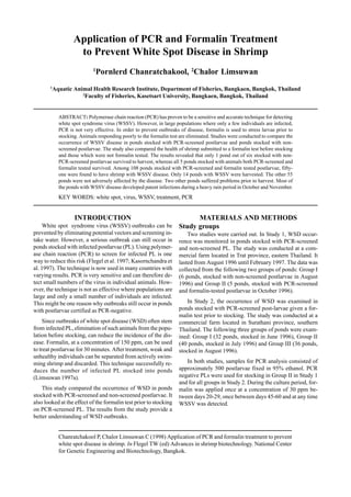 Chanratchakool P, Chalor Limsuwan C (1998) Application of PCR and formalin treatment to prevent
white spot disease in shrimp. In Flegel TW (ed) Advances in shrimp biotechnology. National Center
for Genetic Engineering and Biotechnology, Bangkok.
Application of PCR and Formalin Treatment
to Prevent White Spot Disease in Shrimp
1
Pornlerd Chanratchakool, 2
Chalor Limsuwan
1
Aquatic Animal Health Research Institute, Department of Fisheries, Bangkaen, Bangkok, Thailand
2
Faculty of Fisheries, Kasetsart University, Bangkaen, Bangkok, Thailand
ABSTRACT: Polymerase chain reaction (PCR) has proven to be a sensitive and accurate technique for detecting
white spot syndrome virus (WSSV). However, in large populations where only a few individuals are infected,
PCR is not very effective. In order to prevent outbreaks of disease, formalin is used to stress larvae prior to
stocking. Animals responding poorly to the formalin test are eliminated. Studies were conducted to compare the
occurrence of WSSV disease in ponds stocked with PCR-screened postlarvae and ponds stocked with non-
screened postlarvae. The study also compared the health of shrimp submitted to a formalin test before stocking
and those which were not formalin tested. The results revealed that only 1 pond out of six stocked with non-
PCR-screened postlarvae survived to harvest, whereas all 5 ponds stocked with animals both PCR-screened and
formalin tested survived. Among 108 ponds stocked with PCR-screened and formalin tested postlarvae, fifty-
one were found to have shrimp with WSSV disease. Only 14 ponds with WSSV were harvested. The other 55
ponds were not adversely affected by the disease. Two other ponds suffered problems prior to harvest. Most of
the ponds with WSSV disease developed patent infections during a heavy rain period in October and November.
KEY WORDS: white spot, virus, WSSV, treatment, PCR
INTRODUCTION
White spot syndrome virus (WSSV) outbreaks can be
prevented by eliminating potential vectors and screening in-
take water. However, a serious outbreak can still occur in
ponds stocked with infected postlarvae (PL). Using polymer-
ase chain reaction (PCR) to screen for infected PL is one
way to reduce this risk (Flegel et al. 1997; Kasornchandra et
al. 1997). The technique is now used in many countries with
varying results. PCR is very sensitive and can therefore de-
tect small numbers of the virus in individual animals. How-
ever, the technique is not as effective where populations are
large and only a small number of individuals are infected.
This might be one reason why outbreaks still occur in ponds
with postlarvae certified as PCR-negative.
Since outbreaks of white spot disease (WSD) often stem
from infected PL, elimination of such animals from the popu-
lation before stocking, can reduce the incidence of the dis-
ease. Formalin, at a concentration of 150 ppm, can be used
to treat postlarvae for 30 minutes. After treatment, weak and
unhealthy individuals can be separated from actively swim-
ming shrimp and discarded. This technique successfully re-
duces the number of infected PL stocked into ponds
(Limsuwan 1997a).
This study compared the occurrence of WSD in ponds
stocked with PCR-screened and non-screened postlarvae. It
also looked at the effect of the formalin test prior to stocking
on PCR-screened PL. The results from the study provide a
better understanding of WSD outbreaks.
MATERIALS AND METHODS
Study groups
Two studies were carried out. In Study 1, WSD occur-
rence was monitored in ponds stocked with PCR-screened
and non-screened PL. The study was conducted at a com-
mercial farm located in Trat province, eastern Thailand. It
lasted from August 1996 until February 1997. The data was
collected from the following two groups of ponds: Group I
(6 ponds, stocked with non-screened postlarvae in August
1996) and Group II (5 ponds, stocked with PCR-screened
and formalin-tested postlarvae in October 1996).
In Study 2, the occurrence of WSD was examined in
ponds stocked with PCR-screened post-larvae given a for-
malin test prior to stocking. The study was conducted at a
commercial farm located in Surathani province, southern
Thailand. The following three groups of ponds were exam-
ined: Group I (32 ponds, stocked in June 1996), Group II
(40 ponds, stocked in July 1996) and Group III (36 ponds,
stocked in August 1996).
In both studies, samples for PCR analysis consisted of
approximately 500 postlarvae fixed in 95% ethanol. PCR
negative PLs were used for stocking in Group II in Study 1
and for all groups in Study 2. During the culture period, for-
malin was applied once at a concentration of 30 ppm be-
tween days 20-29, once between days 45-60 and at any time
WSSV was detected.
 