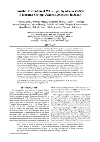 INTRODUCTION
An outbreak of a virus infection in kuruma shrimp,
Penaeus japonicus, referred to as penaeid acute viremia
(PAV) and caused by penaeid rod-shaped DNA virus (PRDV)
has been seriously damaging the culture of this species in
Japan (Takahashi et al. 1994, 1996, Inouye et al. 1994, 1996).
A similar virus infection of penaeid shrimp showing typical
signs of white spots in the carapace has been reported in
Thailand (Wongteerasupaya et al. 1995), Taiwan (Wang et
al. 1995; Lo et al. 1996, 1997), Korea (Kim et al. 1998) and
the USA, where it has been named white spot syndrome
(WSS) (Durand et al. 1996). WSS has spread widely in, and
caused much damage to, penaeid shrimp farms in Asia. These
two viruses, PRDV and WSS virus (WSSV), are thought to
be closely related, because the infections caused by them
produce similar gross signs, affect similar target tissues and
cause similar histopathological changes. Although PAV and
PRDV are the standardized names for this infection in Ja-
pan, we use the names WSS and WSSV, respectively, in this
paper since they are recognized worldwide.
In this paper, we emphasize the usefulness of 2-step PCR
that is sensitive enough to detect WSSV in carrier shrimp
and other crustaceans. In an attempt to develop a prophy-
laxis for WSS, the efficacy of orally administered peptidog-
lycan derived from Bifidobacterium thermophilum was ex-
amined and found to have promise as an immunostimulant.
The typical external signs of WSS are white spots in the
carapace. Under the light microscope, the spots were ob-
served to have a dark area in the center. The body color of
the infected shrimp also becomes pale and reddish in color.
Rod-shaped virions are found in the nucleus of infected lym-
phoid organ cells obtained from both experimentally chal-
lenged and naturally infected shrimp. The virions possess an
Possible Prevention of White Spot Syndrome (WSS)
in Kuruma Shrimp, Penaeus japonicus, in Japan
*1
Toshiaki Itami, 1
Minoru Maeda, 1
Nobutaka Suzuki, 2
Kazuo Tokushige
2
Atsushi Nakagawa, 1
Oscar Hennig, 1
Masakazu Kondo, 3
Jiraporn Kasornchandra
4
Ikuo Hirono, 4
Takashi Aoki, 5
Riichi Kusuda, 1
Yukinori Takahashi
1
National Fisheries University, Shimonoseki, Yamaguchi, Japan
2
Kyowa Hakko Kogyo Co. Ltd., Ube, Yamaguchi, Japan
3
Shrimp Research and Development Center, Songkla, Thailand
4
Tokyo University of Fisheries, Tokyo, Japan
5
Fukuyama University, Fukuyama, Hiroshima, Japan
ABSTRACT
Outbreaks of virus infection causing serious mortality to kuruma shrimp, Penaeus japonicus, have been occur-
ring in Japan since 1993. Diseased shrimp show white spots in the carapace and reddish discoloration of the
body. A non-occluded bacilliform virus, having a tail-like structure, was observed under the transmission elec-
tron microscope. We designed DNA primers for white spot syndrome virus (WSSV) and could detect the virus
using the polymerase chain reaction (PCR). We successfully detected this viral DNA in captured shrimp by 2-
step PCR amplification. Ninety-one out of 374 (24.3%) captured shrimp spawners collected in 1996 and 1997
were shown to be WSSV-positive by 2-step PCR. The filtrate of the heart homogenate of these virus-carrying
shrimp was pathogenic to healthy kuruma shrimp by injection challenge. In order to confirm the prophylactic
efficacy of oral administration of peptidoglycan (PG), an immunostimulant derived from Bifidobacterium
thermophilum, we fed PG (0.2 mg /kg b.w./day) to kuruma shrimp for 30 days and exposed them to WSSV by a
water-borne route during that period. The average survival rate of PG-fed shrimp was 97.6%, whereas it was
only 19.0% in the control group. We then replace the PG feed with the control diet while the challenge contin-
ued. The shrimp that had been fed PG started dying within 20 days and final average survival rates were 7.2% 33
days after the termination of PG-feeding. These results confirmed that oral administration of PG was effective in
preventing WSS in kuruma shrimp. WSSV was detected by 2-step PCR in PG-fed shrimp up to 60-95 days after
challenge was discontinued. This result indicated that PG should be fed for at least 2-3 months after challenge
because the shrimp still carry the virus even if they are fed PG and survive.
KEY WORDS: Penaeid acute viremia, Penaeid Rod-shaped DNA Virus, PCR, Prevention,
Bifidobacterium thermophilum, singlet oxygen
*e-mail: itamit@fish-u.ac.jp
Itami I, Maeda M, Suzuki N, Tokushige K, Nakagawa, Hennig O, Kondo M, Kasornchandra J, Hirono
I, Aoki T, Kusuda R, Takahashi T (1998) Possible Prevention of white spot syndrome (WSS) in
Kuruma shrimp, Penaeus japonicus, in Japan. In T.W. Flegel (ed) Advances in shrimp biotechnol-
ogy. National Center for Genetic Engineering and Biotechnology, Bangkok.
 