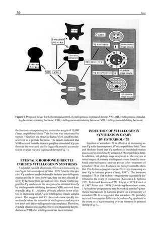 30 Yano
the fraction corresponding to a molecular weight of 10,000
(Yano, unpublished data). This fraction was inactivated by
trypsin. Therefore, the bioactive factor, VSH, could be char-
acterized as a peptide hormone. The results indicated that
VSH secreted from the thoracic ganglion stimulated Vg syn-
thesis in the ovary and vitellin (egg yolk protein) accumula-
tion in ovarian oocytes in penaeid shrimp (Fig. 1).
EYESTALK HORMONE DIRECTLY
INHIBITS VITELLOGENIN SYNTHESIS
Unilateral eyestalk ablation is effective in increasing se-
rum Vg in the kuruma prawn (Yano 1992). Also for this spe-
cies, Vg synthesis can be induced in isolated previtellogenic
ovarian pieces in vitro. However, they are not affected di-
rectly by hormone from eyestalks in vitro. These results sug-
gest that Vg synthesis in the ovary may be inhibited directly
by vitellogenesis-inhibiting hormone (VIH) secreted from
eyestalks (Fig. 1). Unilateral eyestalk ablation is not effec-
tive in increasing serum Vg in vitellogenic female kuruma
prawn. This suggests that VIH levels decrease quickly im-
mediately before the initiation of vitellogenesis and stay at a
low level until after vitellogenesisis is completed. Therefore,
eyestalk ablation may not be effective in regulating the pro-
duction of VIH after vitellogenesis has been initiated.
INDUCTION OF VITELLOGENIN
SYNTHESIS IN OVARY
BY ESTRADIOL-17ß
Injection of estradiol-17ß is effective in increasing se-
rum Vg in the kuruma prawn, (Yano, unpublished data). Yano
and Hoshino found that Vg synthesis in incubated ovarian
pieces can be stimulated by estradiol-17ß (unpublished data).
In addition, oil globule stage oocytes (i.e., the oocytes at
initial stages of primary vitellognesis) were found in incu-
bated previtellogenic ovarian pieces after treatment of
estradiol-17ß in vitro. Evidence has been presented to show
that 17α-hydroxy-progesterone is effective in increasing se-
rum Vg in kuruma prawn (Yano, 1987). The hormone
estradiol-17ß or 17α-hydroxy-progesterone is generally dis-
tributed in the ovary of crustaceans (Kanazawa & Teshima
1971, Teshima & kanazawa 1971, Jeng et al. 1978, Couch et
al. 1987, Faires et al. 1989). Considering these observations,
17α-hydroxy-progesterone may be worked into the Vg syn-
thesis mechanism in kuruma prawn as a precursor of
estradiol-17ß. It is suggested that estradiol-17ß, probably
secreted from ovarian follicle cells, induces Vg synthesis in
the ovary as a Vg-stimuating ovarian hormone in penaeid
shrimp (Fig. 1).
Figure 1. Proposed model for the hormonal control of vitellogenesis in penaeid shrimp. VSH-RH, vitellogenesis-stimulat-
ing hormone-releasing hormone; VSH, vitellogenesis-stimulating hormone;VIH, vitellogenesis-inhibiting hormone.
 