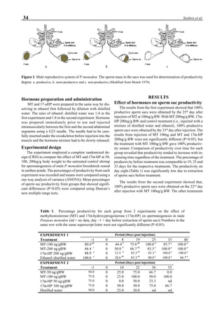 34 Yashiro et al.
Hormone preparation and administration
MT and 17-aHP were prepared in the same way by dis-
solving in ethanol first followed by dilution with distilled
water. The ratio of ethanol: distilled water was 1:4 in the
first experiment and 1:8 in the second experiment. Hormone
was prepared immediately prior to use and injected
intramuscularly between the first and the second abdominal
segments using a G23 needle. The needle had to be care-
fully inserted under the exoskeleton before injection into the
muscle and the hormone mixture had to be slowly released.
Experimental design
The experiment employed a complete randomized de-
sign (CRD) to compare the effect of MT and 17α-HP at 50,
100, 200ng/g body weight to the untreated control shrimp
for spermatogenesis of male P. monodon broodstock reared
in earthen ponds. The percentages of productivity from each
experiment was recorded and means were compared using a
one way analysis of variance (ANOVA). Mean percentages
of sperm sac productivity from groups that showed signifi-
cant differences (P<0.05) were compared using Duncan’s
new multiple range tests.
RESULTS
Effect of hormones on sperm sac productivity
The results from the first experiment showed that 100%
productive sperm sacs were obtained by the 25th
day after
injection of MT at 100ng/g BW. With MT 200ng/g BW, 17α-
HP 200ng/g BW and control treatment (i.e., injected with a
mixture of distilled water and ethanol), 100% productive
sperm sacs were obtained by the 33rd
day after injection. The
results from injection of MT 100ng and MT and 17α-HP
200ng/g BW were not significantly different (P>0.05), but
the treatment with MT 100ng/g BW gave 100% productiv-
ity sooner. Comparison of productivity over time for each
group revealed that productivity tended to increase with in-
creasing time regardless of the treatment. The percentage of
productivity before treatment was comparable to 19, 25 and
33 days for the respective treatments. The productivity on
day eight (Table 1) was significantly low due to extraction
of sperm sacs before treatment.
The results from the second experiment showed that,
100% productive sperm sacs were obtained on the 22nd
day
after injection with MT 100ng/g BW. The other treatments
Table 1. Percentage productivity for each group from 2 experiments on the effect of
methyltestosterone (MT) and 17α-hydroxyprogesterone (17α-HP) on spermatogenesis in male
Penaeus monodon (nd = no data, day –1 = day before extraction of sperm sacs) Numbers in the
same row with the same superscript letter were not significantly different (P>0.05).
EXPERIMENT 1 Period (Days post injection)
Treatment -1 0 8 19 25 33 40
MT-100 ng/gBW 80.0 ab
0 44.4 b
75.0 ab
100.0 a
85.7 a
100.0 a
MT-200 ng/gBW 44.4 c
0 50.0 b
66.7 ab
83.3 a
100.0 a
100.0 a
17α-HP 200 ng/gBW 88.9 a
0 12.5 d
83.3 ab
83.3 a
100.0 a
100.0 a
Ethanol+distilled water 100.0 a
0 28.6 bd
83.3 ab
80.0 a
100.0 a
66.7 a
EXPERIMENT 2 Period (Days post injection)
Treatment -1 0 10 22 36 53
MT-50 ng/gBW 50.0 0 25.0 75.0 66.7 0.0
MT-100 ng/gBW 75.0 0 25.0 100.0 50.0 100.0
17α-HP 50 ng/gBW 75.0 0 0.0 50.0 33.3 nd
17α-HP 100 ng/gBW 75.0 0 50.0 50.0 75.0 66.7
Distilled water 50.0 0 25.0 20.0 nd nd
Figure 1. Male reproductive system of P. monodon. The sperm mass in the sacs was used for determination of productivity
degree. a. productive, b. semi-productive and c. non-productive (Modified from Motoh 1979).
 