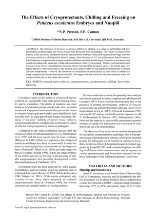 Preston NP, Coman FE (1998) The effects of cryoprotectants, chilling and freezing on Penaeus
esculentus embryos and nauplii. In Flegel TW (ed) Advances in shrimp biotechnology. National
Center for Genetic Engineering and Biotechnology, Bangkok.
*e-mail: nigel.preston@marine.csiro.au
The Effects of Cryoprotectants, Chilling and Freezing on
Penaeus esculentus Embryos and Nauplii
*N.P. Preston, F.E. Coman
CSIRO Division of Marine Research, P.O. Box 120, Cleveland, Qld 4163, Australia.
ABSTRACT: The responses of Penaeus esculentus embryos to chilling, to a range of penetrating and non-
penetrating cryoprotectants and various freeze-thaw protocols were investigated. The results revealed several
barriers to the successful cryopreservation of penaeid prawn embryos. Both early-stage and late-stage embryos
were very sensitive to chilling and to osmotic change: their tolerance of -1o
C was seldom more than 20 minutes.
Rapid exposure to hyperosmotic or hypo-osmotic conditions was lethal to both stages. Tolerance to cryoprotectants
varied according to the molecular weight and concentration of the cryoprotectant. All the cryoprotectants tested
were non-toxic at low concentrations, but none entirely prevented the formation of ice. Our results have con-
firmed previous observations that, in the absence of ice, prawn embryos and nauplii can temporarily withstand
sub-zero temperatures. However, the formation of intracellular or extracellular ice was lethal to embryos at
every cryoprotectant/freeze-thaw protocol tested. We suggest that the sensitivity of prawn embryos to ice for-
mation is partly due to their high yolk content.
KEY WORDS: penaeid prawn embryos, cryopreservation, cryoprotectants, chilling, freeze-thaw
protocols.
INTRODUCTION
Cryopreservation of the embryos of penaeid prawns
would be of considerable value to the prawn farming indus-
try and to researchers. The ability to stockpile and store
embryos for extended periods would make them available
on demand. Cryopreservation would also provide the means
to conserve natural gene pools and to store, indefinitely, such
desirable traits as rapid growth and disease resistance. Be-
cause of the poor viability of prawn tissue cultures,
cryopreserved embryos could provide an alternative source
of cells for testing responses to toxins or pathogens.
Compared to the long-established success with the
cryopreservation of mammalian embryos (e.g. Whittingham
et al. 1972) and the more recent ones for insect embryos
(Mazur et al. 1992), efforts to cryopreserve the embryos of
marine invertebrates have been less successful. Limited tol-
erance to freezing has been demonstrated in late-stage em-
bryos of mussels (Toledo et al. 1989) and early-stage em-
bryos of oysters (Renard 1991). While late-stage embryos
of sea urchins can survive freezing, in the presence of suit-
able cryoprotectants, their post-thaw development is often
abnormal (Asahina & Takahashi 1978).
Cryopreservation has been achieved for some aquatic
invertebrates, such as rotifers, which are naturally able to
withstand desiccation (King et al. 1983; Toledo & Kurokura
1990; Toledo et al. 1991). Of the marine arthropods, only
Artemia larvae have been reported to tolerate
cryopreservation (Baust & Lawrence 1980), but Artemia
cysts provide a simpler method of storing embryos.
Previous studies have shown that penaeid prawn embryos
can tolerate exposure to some cryoprotectants (Robertson &
Lawrence 1987). It has also been demonstrated that, in the
presence of suitable cryprotectants, embryos of Penaeus
semisulcatus can tolerate short term exposure (up to 6 h) to
temperatures as low as –10 °C (Diwan & Kandasami 1997)
and nauplli of P. indicus can briefly tolerate exposure to –40
°C (Subramoiam & Newton 1993, Subramoniam 1994).
However, the capacity to successfully cryopreserve penaeid
embryos or nauplii for subsequent use in research or com-
merce has yet to be demonstrated.
The objective of our study was to examine the potential
for successful cryopreservation techniques that would per-
mit storage of penaeid prawn embryos or larvae for extended
periods for subsequent use in research or commerce. In or-
der to do this we followed the general research protocol sug-
gested by Leopold (1992) and examined responses to chill-
ing, to different solute concentrations, and to exposure to
various cryoprotectants and freeze-thaw protocols for em-
bryos and nauplii of the subtropical prawn P. esculentus.
MATERIALS AND METHODS
Shrimp and broodstock
Adult P. esculentus were trawled from Albatross Bay,
Gulf of Carpentaria, Australia and air-freighted to the Ma-
rine Laboratory in Cleveland, Brisbane. They completed their
ovarian development in 10,000 L maturation tanks (tempera-
ture range 25°C to 28°C and salinity range 30 to 32 ppt),
 