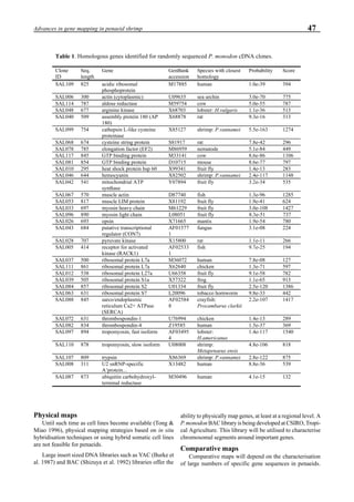 47Advances in gene mapping in penaeid shrimp
Physical maps
Until such time as cell lines become available (Tong &
Miao 1996), physical mapping strategies based on in situ
hybridisation techniques or using hybrid somatic cell lines
are not feasible for penaeids.
Large insert sized DNA libraries such as YAC (Burke et
al. 1987) and BAC (Shizuya et al. 1992) libraries offer the
ability to physically map genes, at least at a regional level. A
P. monodonBAC library is being developed at CSIRO, Tropi-
cal Agriculture. This library will be utilised to characterise
chromosomal segments around important genes.
Comparative maps
Comparative maps will depend on the characterisation
of large numbers of specific gene sequences in penaeids.
Table 1. Homologous genes identified for randomly sequenced P. monodon cDNA clones.
Clone
ID
Seq.
length
Gene GenBank
accession
Species with closest
homology
Probability Score
SAL109 825 acidic ribosomal
phosphoprotein
M17885 human 1.0e-39 394
SAL006 300 actin (cytoplasmic) U09635 sea urchin 3.0e-70 775
SAL114 787 aldose reductase M59754 cow 5.0e-55 787
SAL048 677 arginine kinase X68703 lobster: H.vulgaris 1.1e-36 513
SAL040 509 assembly protein 180 (AP
180)
X68878 rat 9.3e-16 313
SAL099 754 cathepsin L-like cysteine
proteinase
X85127 shrimp: P.vannamei 5.5e-163 1274
SAL068 674 cysteine string protein S81917 rat 7.8e-42 296
SAL078 785 elongation factor (EF2) M86959 nematode 5.1e-84 449
SAL117 845 GTP binding protein M33141 cow 8.6e-86 1106
SAL081 854 GTP binding protein D10715 mouse 8.6e-77 797
SAL010 295 heat shock protein hsp 60 X99341 fruit fly 1.4e-13 283
SAL046 644 hemocyanin X82502 shrimp: P.vannamei 2.4e-117 1148
SAL042 541 mitochondrial ATP
synthase
Y07894 fruit fly 3.2e-34 535
SAL067 570 muscle actin D87740 fish 1.3e-96 1285
SAL053 817 muscle LIM protein X81192 fruit fly 1.9e-41 624
SAL033 697 myosin heavy chain M61229 fruit fly 3.0e-108 1427
SAL096 890 myosin light chain L08051 fruit fly 8.3e-51 737
SAL026 693 opsin X71665 mantis 1.9e-54 780
SAL043 684 putative transcriptional
regulator (CON7)
AF01577
1
fungus 3.1e-08 224
SAL028 707 pyruvate kinase X15800 rat 1.1e-11 266
SAL005 414 receptor for activated
kinase (RACK1)
AF02533
1
fish 9.7e-25 194
SAL037 500 ribosomal protein L7a M36072 human 7.8e-08 127
SAL111 861 ribosomal protein L7a X62640 chicken 1.3e-71 597
SAL012 538 ribosomal protein L27a U66358 fruit fly 9.1e-58 782
SAL039 505 ribosomal protein S1a X57322 frog 1.1e-65 913
SAL084 857 ribosomal protein S2 U01334 fruit fly 2.5e-120 1386
SAL063 631 ribosomal protein S7 L20096 tobacco hornworm 9.8e-33 442
SAL088 845 sarco/endoplasmic
reticulum Ca2+ ATPase
(SERCA)
AF02584
8
crayfish:
Procambarus clarkii
2.2e-107 1417
SAL072 631 thrombospondin-1 U76994 chicken 1.4e-13 289
SAL082 834 thrombospondin-4 Z19585 human 1.5e-37 369
SAL097 894 tropomyosin, fast isoform AF03495
4
lobster:
H.americanus
1.4e-117 1540
SAL110 878 tropomyosin, slow isoform U08008 shrimp:
Metapenaeus ensis
4.8e-106 818
SAL107 809 trypsin X86369 shrimp: P.vannamei 2.8e-122 875
SAL008 311 U2 snRNP-specific
A’protein...
X13482 human 8.8e-36 539
SAL087 873 ubiquitin carbohydroxyl-
terminal reductase
M30496 human 4.1e-15 132
 