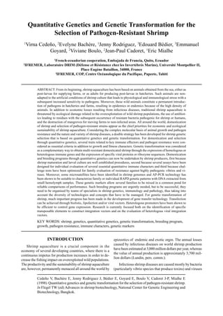 Quantitative Genetics and Genetic Transformation for the
Selection of Pathogen-Resistant Shrimp
1
Virna Cedeño, 2
Evelyne Bachère, 1
Jenny Rodriguez, 3
Edouard Bédier, 3
Emmanuel
Goyard, 2
Viviane Boulo, 2
Jean-Paul Cadoret, 1
Eric Mialhe
1
French-ecuadorian cooperation, Embajada de Francia, Quito, Ecuador
2
IFREMER, Laboratoire DRIM (Défense et Résistance chez les Invertébrés Marins), Université Montpellier II,
Place Eugène Bataillon, 34000, France
3
IFREMER, COP, Centre Océanologique du Pacifique, Papeete, Tahiti
ABSTRACT: From its beginning, shrimp aquaculture has been based on animals obtained from the sea, either as
post-larvae for supplying farms, or as adults for producing post-larvae in hatcheries. Such animals are non-
adapted to the artificial conditions of shrimp culture that leads to physiological and immunological stress with a
subsequent increased sensitivity to pathogens. Moreover, these wild animals constitute a permanent introduc-
tion of pathogens in hatcheries and farms, resulting in epidemics or endemics because of the high density of
animals. In addition to economic losses resulting from infectious diseases, traditional shrimp aquaculture is
threatened by ecological damage related to the overexploitation of wild shrimp populations, the use of antibiot-
ics leading to residues with the subsequent occurrence of resistant bacteria pathogenic for shrimp or humans,
and the destruction of mangroves for moving farms to non-infected areas. All around the world, domestication
of shrimp and selection of pathogen-resistant strains appear as the chief priorities for economic and ecological
sustainability of shrimp aquaculture. Considering the complex molecular basis of animal growth and pathogen
resistance and the nature and variety of shrimp diseases, a double strategy has been developed for shrimp genetic
selection that is based on quantitative genetics and genetic transformation. For domestication and selection
through quantitative genetics, several traits related to key immune effectors and pathogen resistance were con-
sidered as essential criteria in addition to growth and fitness characters. Genetic transformation was considered
as a complementary way to obtain multi-resistant domesticated shrimp through the expression of homologous or
heterologous immune genes and the expression of specific viral proteins or ribozyme sequences. Domestication
and breeding programs through quantitative genetics can now be undertaken by shrimp producers, first because
shrimp maturation and larval culture are well established procedures, second because several assays have been
designed for individual evaluation of several essential quantitative immune characters and third because chal-
lenge tests have been optimized for family evaluation of resistance against highly pathogenic vibrios and vi-
ruses. Moreover, some microsatellites have been identified in shrimp genomes and AP-PCR technology has
been shown to be suitable to characterize family or individual RAPD genetic patterns with DNA extracted from
small hemolymph samples. These genetic markers allow several families to be mixed in a common pond for
reliable comparisons of performance. Such breeding programs are urgently needed, but to be successful, they
need to be organised by teams of specialists in shrimp genetics, immunology and pathology, thus taking into
account the diversity of technologies and concepts that have to be managed. For genetic transformation of
shrimp, much important progress has been made in the development of gene transfer technology. Transfection
can be achieved through biolistic, lipofection and/or viral vectors. Heterologous promoters have been shown to
be efficient to control gene expression. Research is currently focused both on the identification of specific
transposable elements to construct integration vectors and on the evaluation of heterologous viral integration
vectors.
KEY WORDS: shrimp, genetics, quantitative genetics, genetic transformation, breeding program,
growth, pathogen resistance, immune characters, genetic markers
INTRODUCTION
Shrimp aquaculture is a crucial component in the
economy of several developing countries, where there is a
continuous impetus for production increases in order to de-
crease the fishing impact on overexploited wild populations.
The productivity and the sustainability of shrimp aquaculture
are, however, permanently menaced all around the world by
epizootics of endemic and exotic orgin. The annual losses
caused by infectious diseases on world shrimp production
have been estimated at 3,000 million dollars per year, whereas
the value of annual production is approximately 3,700 mil-
lion dollars (Lundin, pers. comm.).
Infectious shrimp diseases are caused mostly by bacteria
(particularly vibrio species that produce toxins) and viruses
Cedeño V, Bachère E, Jenny Rodriguez J, Bédier E, Goyard E, Boulo V, Cadoret J-P, Mialhe E
(1998) Quantitative genetics and genetic transformation for the selection of pathogen-resistant shrimp.
In Flegel TW (ed) Advances in shrimp biotechnology, National Center for Genetic Engineering and
Biotechnology, Bangkok.
 