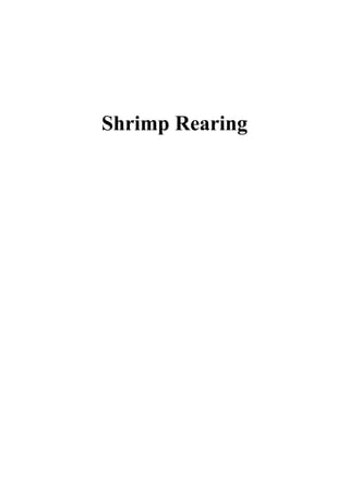 Shrimp Rearing
 
