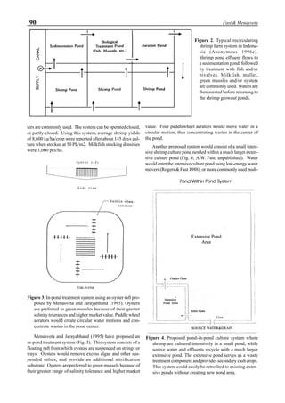 90 Fast & Menasveta
ters are commonly used. The system can be operated closed,
or partly-closed. Using this system, average shrimp yields
of 8,600 kg/ha/crop were reported after about 145 days cul-
ture when stocked at 50 PL/m2. Milkfish stocking densities
were 1,000 pcs/ha.
Menasveta and Jarayabhand (1995) have proposed an
in-pond treatment system (Fig. 3). This system consists of a
floating raft from which oysters are suspended on strings or
trays. Oysters would remove excess algae and other sus-
pended solids, and provide an additional nitrification
substrate. Oysters are preferred to green mussels because of
their greater range of salinity tolerance and higher market
value. Four paddlewheel aerators would move water in a
circular motion, thus concentrating wastes in the center of
the pond.
Another proposed system would consist of a small inten-
sive shrimp culture pond nestled within a much larger exten-
sive culture pond (Fig. 4; A.W. Fast, unpublished). Water
would enter the intensive culture pond using low-energy water
movers (Rogers & Fast 1988), or more commonly used push-
Figure 2. Typical recirculating
shrimp farm system in Indone-
sia (Anonymous 1996c).
Shrimp pond effluent flows to
a sedimentation pond, followed
by treatment with fish and/or
bivalves. Milkfish, mullet,
green mussles and/or oysters
are commonly used. Waters are
then aerated before returning to
the shrimp growout ponds.
Figure 3. In-pond treatment system using an oyster raft pro-
posed by Menasveta and Jarayabhand (1995). Oysters
are preferred to green mussles because of their greater
salinity tolerances and higher market value. Paddle wheel
aerators would create circular water motions and con-
centrate wastes in the pond center.
Figure 4. Proposed pond-in-pond culture system where
shrimp are cultured intensively in a small pond, while
source water and effluents recycle with a much larger
extensive pond. The extensive pond serves as a waste
treatment component and provides secondary cash crops.
This system could easily be retrofited to existing exten-
sive ponds withour creating new pond area.
 