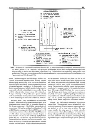 91Marine shrimp pond recycling systems
pumps. The intensive pond would be deeper and have me-
chanical aeration such as paddlewheels. Effluent from the
intensive pond would return to the extensive pond where
suspended solids would settle and nutrients would stimulate
primary and secondary productivity for the secondary crop.
Shrimp would be cultured at high densities in the intensive
pond, while milkfish, mullet, tilapia, bivalves and/or shrimp
could be cultured in the extensive pond at lower densities.
A major advantage of this pond-in-pond system is that it
could be retrofitted to existing extensive ponds without need
to create more new pond areas from land now in other use.
Recently, Brune (1998) and Drapcho (1993) described
their work at Clemson University with an algal based, parti-
tioned aquaculture system (PAS) for freshwater channel cat-
fish (Ictalurus punctatus). The PAS has been under devel-
opment since 1988 and has produced catfish yields of 15,000
to 22,000 kg/ha/yr, compared with about 5,500 kg/ha/yr with
conventional, intensive culture of catfish. The PAS consists
of a fish culture raceway component which is designed to
have uniform, well mixed flow with high phytoplankton
growth (Fig. 5). This provides high dissolved oxygen con-
centrations while at the same time reduced ammonia. Fol-
lowing the raceway is a settling area where wastes settle for
removal from the system. Tilapia (Oreochromis niloticus)
and/or other filter feeding fish and plants can also be cul-
tured in this settling areas to further utilize algal production
and wastes, and to provide additional cash crops. Highest
yields were realized when catfish were co-cultured with
tilapia. Oxygen transfer and other control functions are ac-
complished by computer control of the paddlewheel circu-
lator. Advantages of the PAS include: low water use and no
water discharge; good disease control; good predator con-
trol; high crop yields; simplified grading of crop by size;
easy crop harvest; and multi-cropping of more than one spe-
cies. The PAS system has potential application to marine
shrimp culture, but has not yet been used for this purpose.
Chien & Liao (1995) describe a somewhat different con-
ceptual farm. Their proposed system includes both water
treatment components (bivalves, seaweed, marsh, mangroves
and settling), as well as waste water recycling. The reuse
system includes first using reservoir or treated waters for
intensive shrimp culture, followed by use in less intensive
shrimp culture ponds before treatment and recycling. They
also allow for a wide range of options, which are probably
beyond the scope of our present ability to operate optimally.
Figure 5. Schematic or Partitioned Aquaculture System (PAS) for pond culture under development at Clemson Univer-
sity, South Carolina, U.S.A. The primary crop is cultured in the raceway section, while phytoplankton and other solids
are removed in the settling area where water velocities are less. Phytoplankton remove metabolic wastes and oxygen-
ate the water. The system is computer controlled to maintain adequate oxygen concentrations and optimal algal growth.
Figure courtesy of D.E. Brune (1998).
 