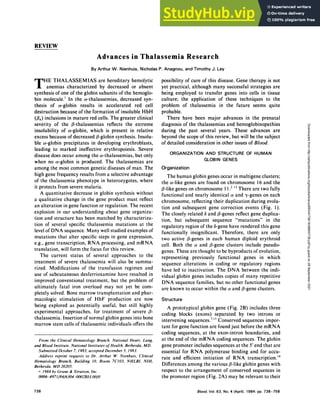 738 Blood, Vol. 63, No. 4 (April), 1984: pp. 738-758
REVIEW
Advances in Thalassemia Research
By Arthur W. Nienhuis, Nicholas P. Anagnou, and Timothy J. Ley
T HE THALASSEMIAS are hereditary hemolytic
anemias characterized by decreased or absent
synthesis of one of the globin subunits of the hemogbo-
bin molecule.’ ln the a-thalassemias, decreased syn-
thesis of a-globin results in accelerated red cell
destruction because of the formation of insoluble HbH
(f34) inclusions in mature red cells. The greater clinical
severity of the fl-thalassemias reflects the extreme
insolubility of a-globin, which is present in relative
excess because of decreased 3-globin synthesis. Insolu-
ble a-globin precipitates in developing erythroblasts,
leading to marked ineffective erythropoiesis. Severe
disease does occur among the ct-thalassemias, but only
when no a-globin is produced. The thalassemias are
among the most common genetic diseases of man. The
high gene frequency results from a selective advantage
of the thalassemia phenotype in heterozygotes, where
it protects from severe malaria.
A quantitative decrease in globin synthesis without
a qualitative change in the gene product must reflect
an alteration in gene function or regulation. The recent
explosion in our understanding about gene organiza-
tion and structure has been matched by characteriza-
tion of several specific thalassemia mutations at the
level of DNA sequence. Many well studied examples of
mutations that alter specific steps in gene expression,
e.g., gene transcription, RNA processing, and mRNA
translation, will form the focus for this review.
The current status of several approaches to the
treatment of severe thalassemia will also be summa-
rized. Modifications of the transfusion regimen and
use of subcutaneous desferrioxamine have resulted in
improved conventional treatment, but the problem of
ultimately fatal iron overload may not yet be corn-
pletely solved. Bone marrow transplantation and phar-
macologic stimulation of l-IbF production are now
being explored as potentially useful, but still highly
experimental approaches, for treatment of severe 3-
thalassemia. Insertion ofnormal globin genes into bone
marrow stern cells of thalassernic individuals offers the
From the Clinical Hematology Branch, National Heart, Lung.
and Blood Institute, National Institutes ofHealth, Bethesda, MD.
Submitted October 7, 1 983; accepted December 5. 1983.
Address reprint requests to Dr. Arthur W. Nienhuis, Clinical
Hematology Branch, Building 10, Room 7C103, NHLBI. NIH.
Bethesda, MD 20205.
(C: J 984 by Grune & Stratton, Inc.
0006-4971/84/6304-0002$03.00/0
possibility of cure of this disease. Gene therapy is not
yet practical, although many successful strategies are
being employed to transfer genes into cells in tissue
culture; the application of these techniques to the
problem of thalassemia in the future seems quite
probable.
There have been major advances in the prenatal
diagnosis of the thalassemias and hernoglobinopathies
during the past several years. These advances are
beyond the scope of this review, but will be the subject
of detailed consideration in other issues of Blood.
ORGANIZATION AND STRUCTURE OF HUMAN
GLOBIN GENES
Organization
The human globin genes occur in multigene clusters;
the a-like genes are found on chromosome 16 and the
3-like genes on chromosome I I ,212 There are two fully
functional and nearly identical a and “y-genes on each
chromosome, reflecting their duplication during evolu-
tion and subsequent gene correction events (Fig. I).
The closely related t5 and fl-genes reflect gene duplica-
tion, but subsequent sequence “mutations” in the
regulatory region of the #{244}-gene
have rendered this gene
functionally insignificant. Therefore, there are only
two active /3-genes in each human diploid erythroid
cell. Both the a and fl-gene clusters include pseudo-
genes. These are thought to be byproducts of evolution,
representing previously functional genes in which
sequence alterations in coding or regulatory regions
have led to inactivation. The DNA between the mdi-
vidual globin genes includes copies of many repetitive
DNA sequence families, but no other functional genes
are known to occur within the a and /3-gene clusters.
Structure
A prototypical globin gene (Fig. 2B) includes three
coding blocks (exons) separated by two introns or
intervening sequences.7 ‘ Conserved sequences impor-
tant for gene function are found just before the mRNA
coding sequences, at the exon-intron boundaries, and
at the end of the mRNA coding sequences. The globin
gene promoter includes sequences at the 5’ end that are
essential for RNA polymerase binding and for accu-
rate and efficient initiation of RNA transcription.’4
Differences among the various fl-like globin genes with
respect to the arrangement of conserved sequences in
the promoter region (Fig. 2A) may be relevant to their
Downloaded
from
http://ashpublications.org/blood/article-pdf/63/4/738/1638660/738.pdf
by
guest
on
28
September
2021
 