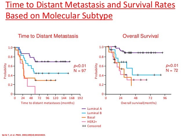 Image Result For Stage Breast Survival Rates Image Result For Stage Breast Survival Rates