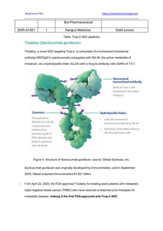 Biopharma PEG https://www.biochempeg.com
Bio-Pharmaceutical
SHR-A1921 I Hengrui Medicine Solid tumors
Table. Trop-2 ADC pipelines
Trodelvy (Sacituzumab govitecan)
Trodelvy, a novel ADC targeting Trop-2, is comprised of a humanized monoclonal
antibody hRS7IgG1κ (sacituzumab) conjugated with SN-38, the active metabolite of
irinotecan, via a hydrolysable linker (CL2A) with a drug-to-antibody ratio (DAR) of 7.6:1.
Figure 4. Structure of Sacituzumab govitecan, source: Gilead Sciences, Inc.
Sacituzumab govitecan was originally developed by Immunomedics, and in September
2020, Gilead acquired Immunomedics for $21 billion.
 ▶ On April 22, 2020, the FDA approved Trodelvy for treating adult patients with metastatic
triple-negative breast cancer (TNBC) who have received at least two prior therapies for
metastatic disease, making it the first FDA-approved anti-Trop-2 ADC.
 
