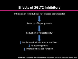 Effects of SGLT2 Inhibitors
Inhibition of renal tubular Na+-glucose cotransporter
Reversal of hyperglycemia
Reduction of “glucotoxicity”
Insulin sensitivity in muscle and liver
Gluconeogenesis
Improved beta cell function
Brooks AM, Thacker SM. Ann Pharmacother. 2009; Nair S, et al. J Clin Endocrinol Metab. 2010.
 