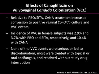 Effects of Canagliflozin on
Vulvovaginal Candida Colonization (VCC)
– Relative to PBO/SITA, CANA treatment increased
conversion to positive vaginal Candida culture and
VVC events
– Incidence of VVC in female subjects was 2.9% and
3.7% with PBO and SITA, respectively, and 10.4%
with CANA
– None of the VVC events were serious or led to
discontinuation; most were treated with topical or
oral antifungals, and resolved without study drug
interruption
Nyirjesy P, et al. Abstract 0032-LB. ADA 2011.
 
